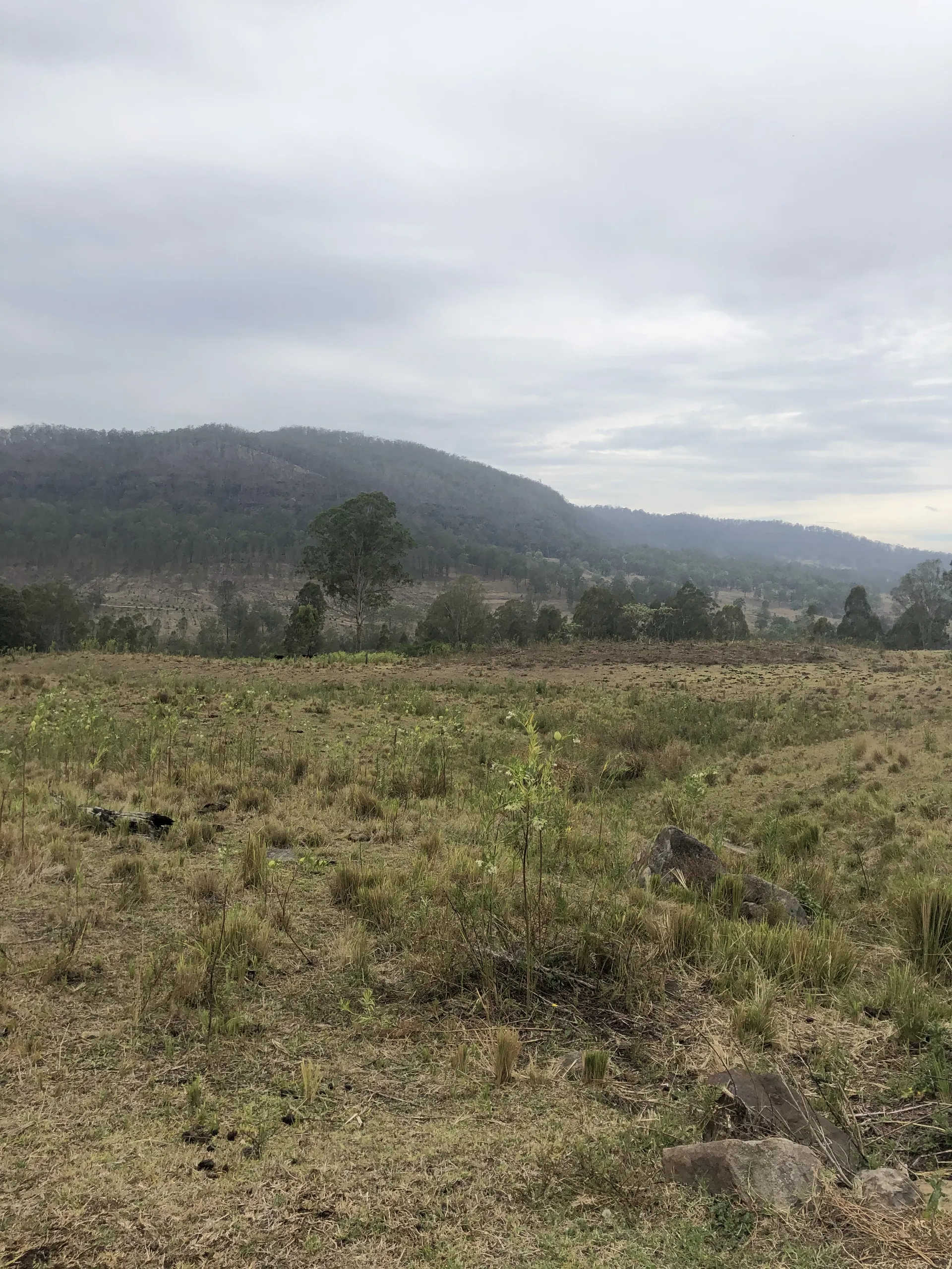 BigBarry OnlyFans header