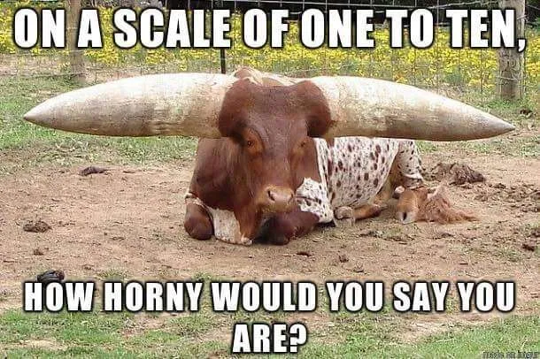 Big Bearded Mexican OnlyFans header