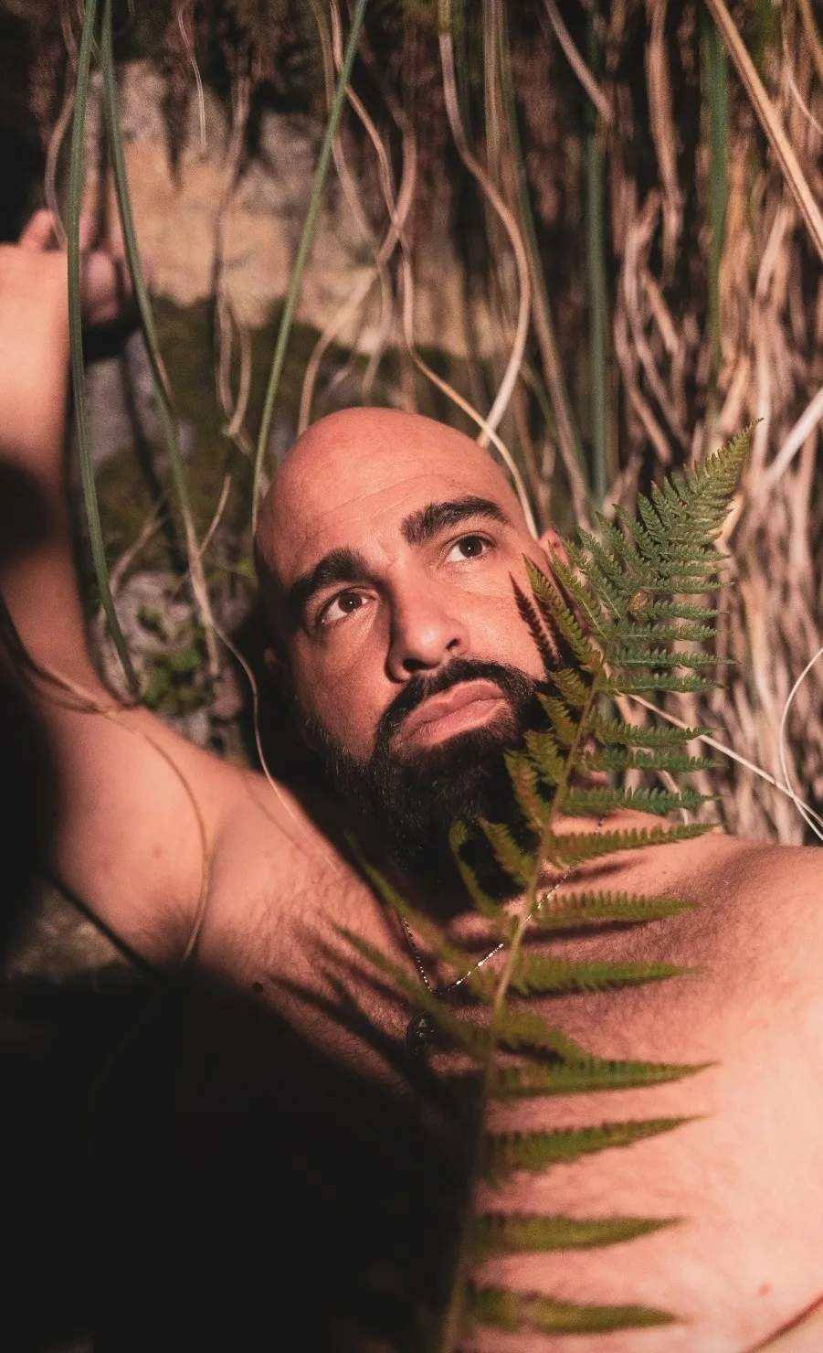 Bigbeardestroyer  "whispers to horses🐴".