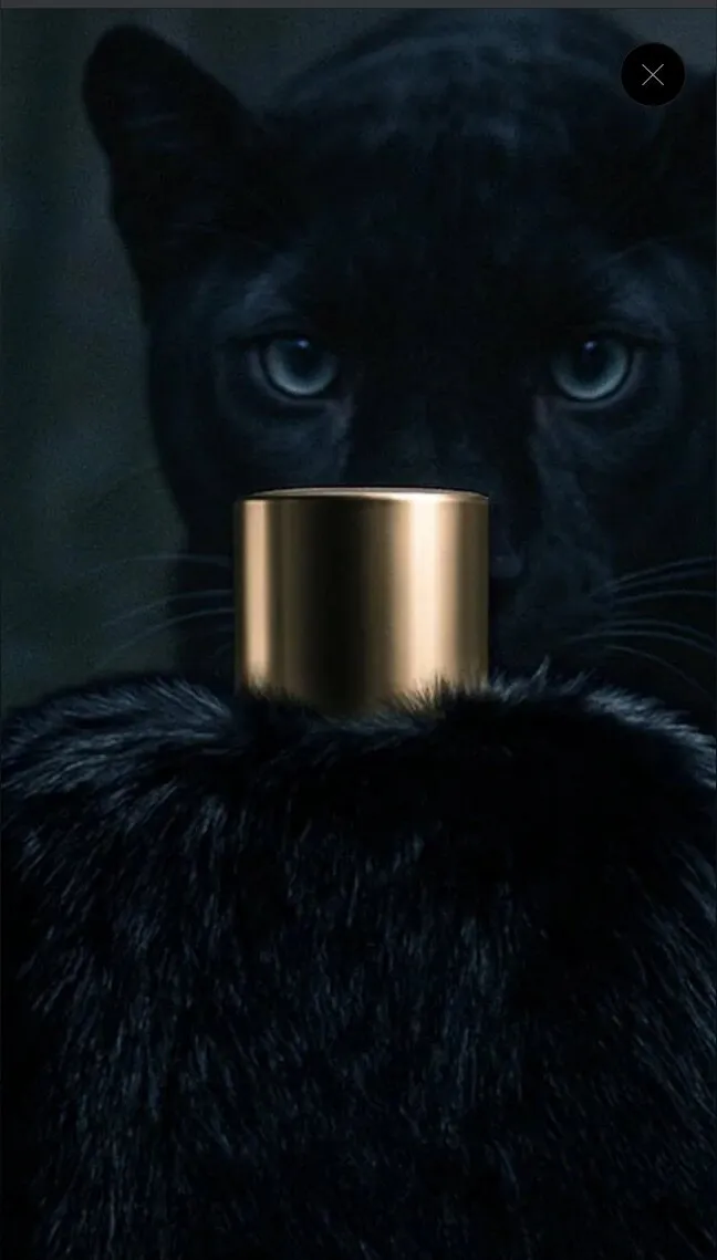 BBW BIG BOOTY FREAKbitch🤑💞💞💞 OnlyFans header