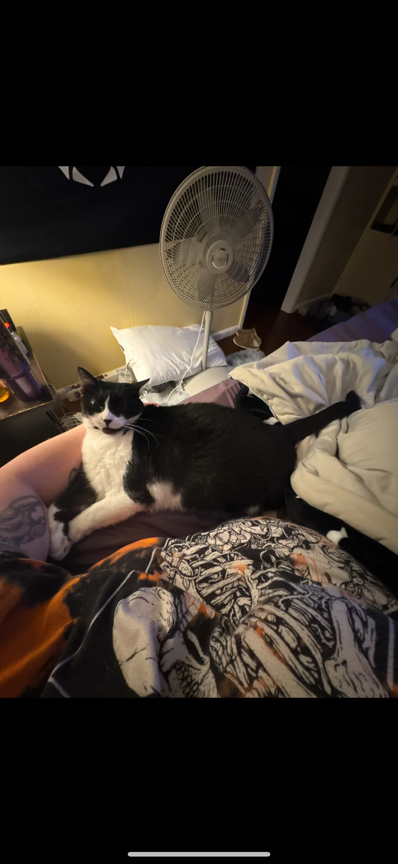 Stacy OnlyFans header