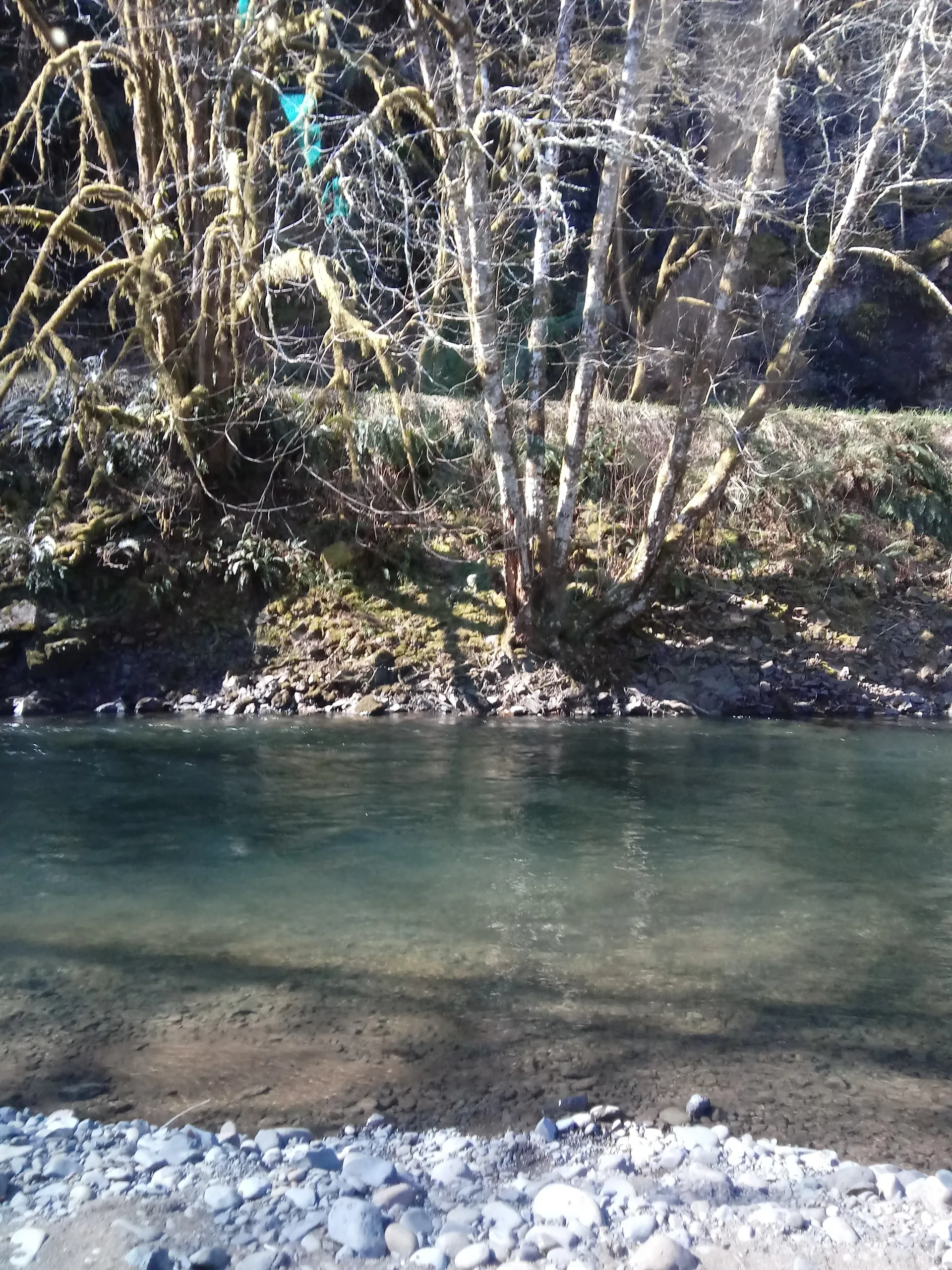 BigBitch001 OnlyFans header