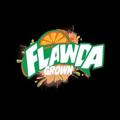 BIG BIZ OnlyFans header