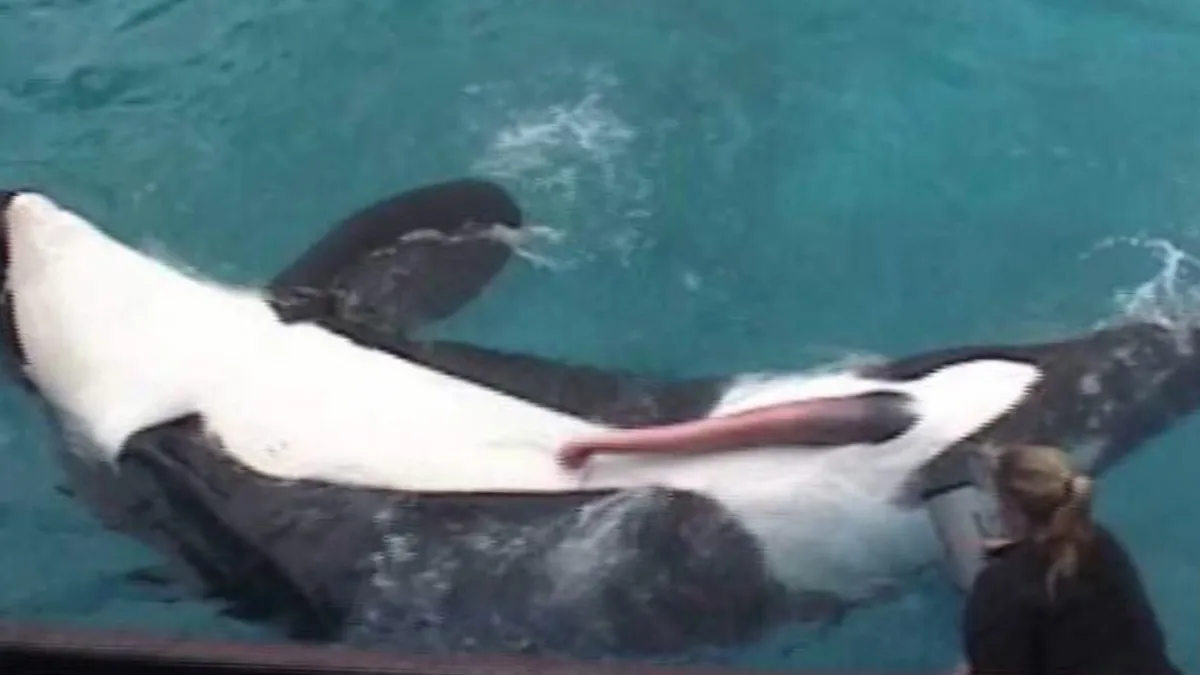 Black Panther Marvel OnlyFans header