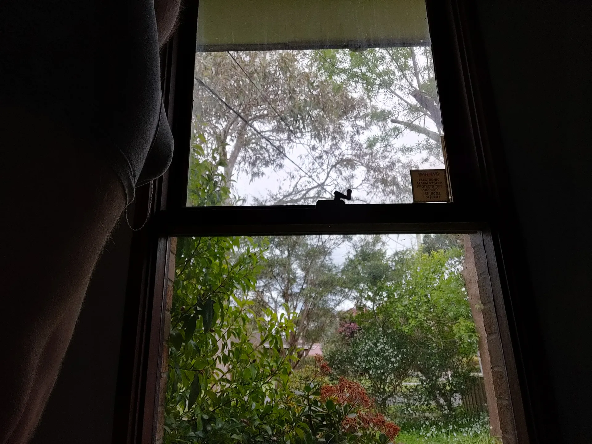 big boi OnlyFans header