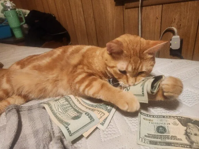 Big Boi OnlyFans header