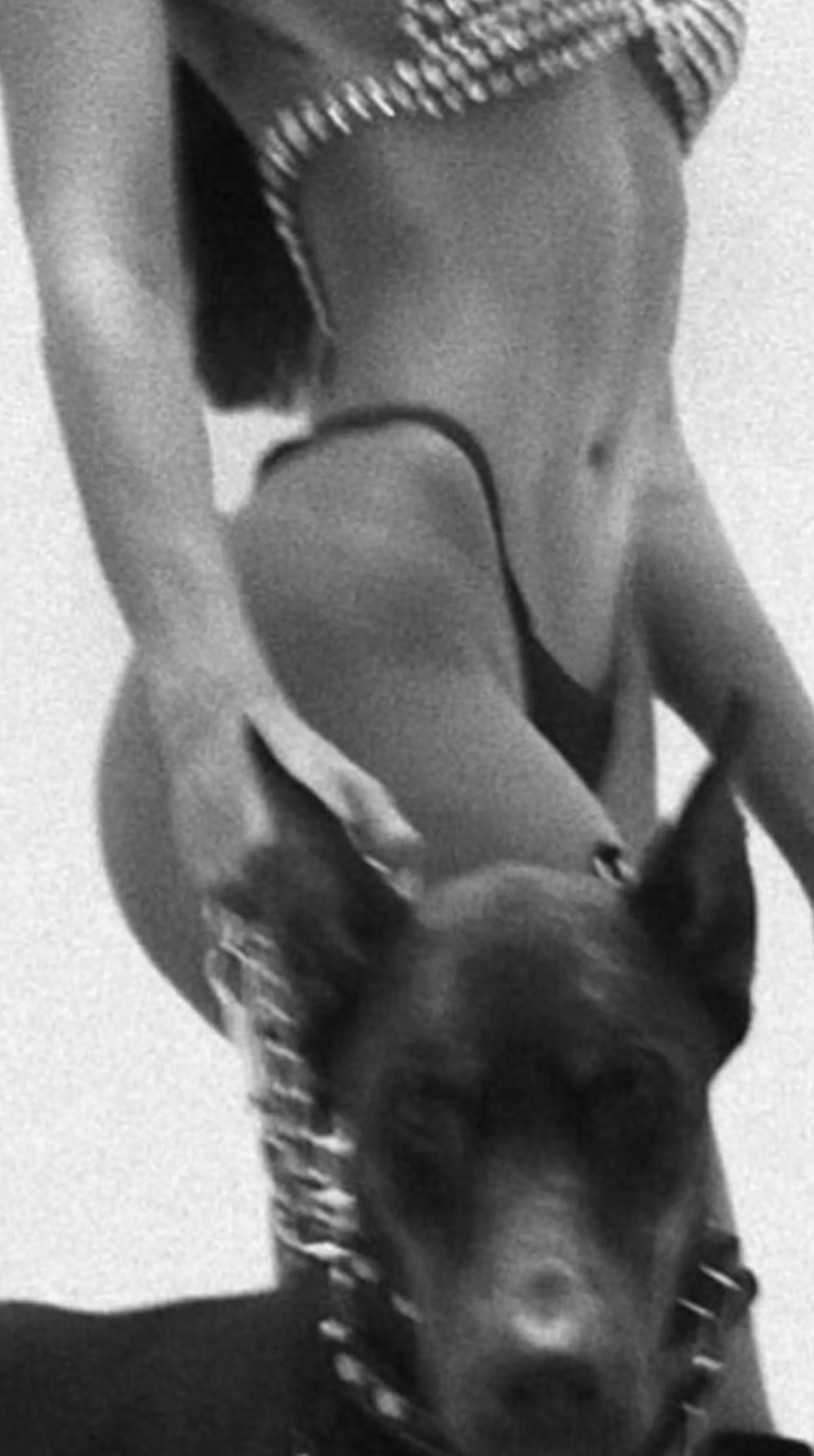 bigboobblondie OnlyFans header