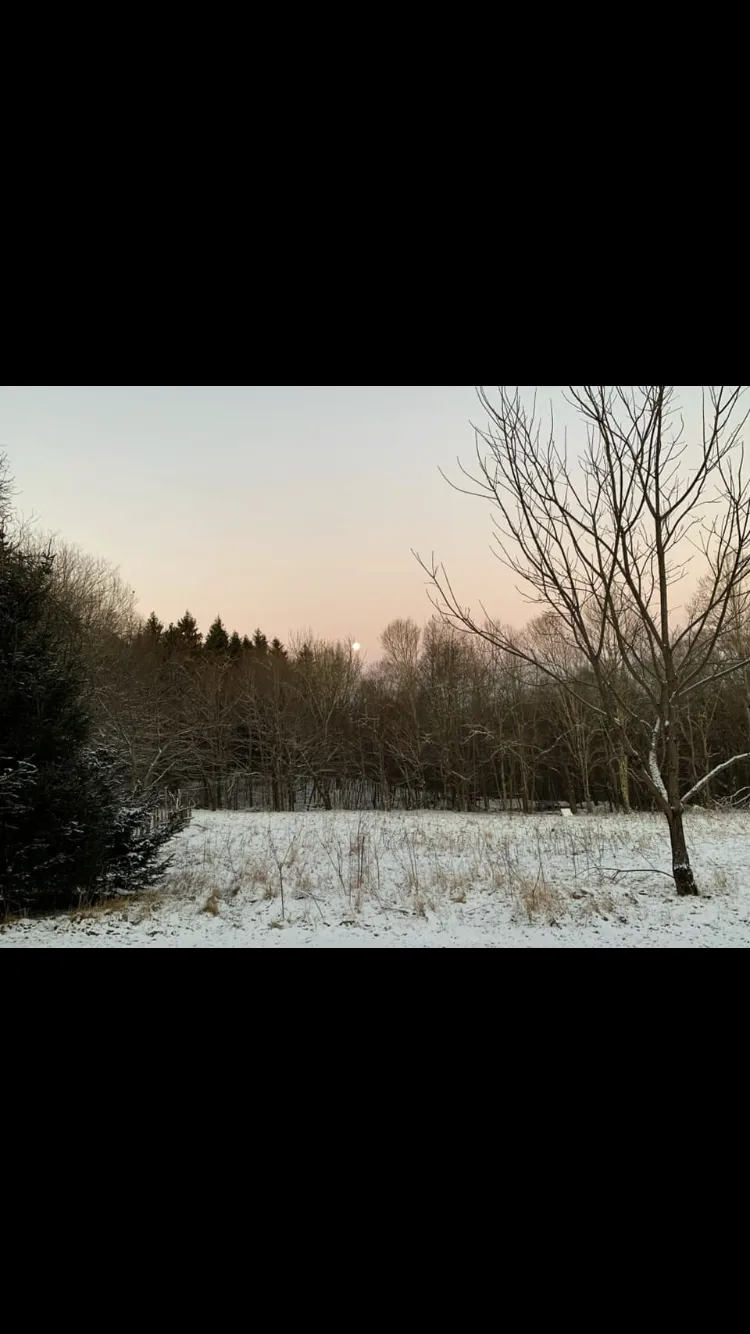 Kales OnlyFans header