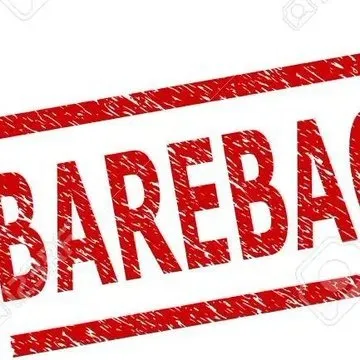 BIGBOOTY OnlyFans header