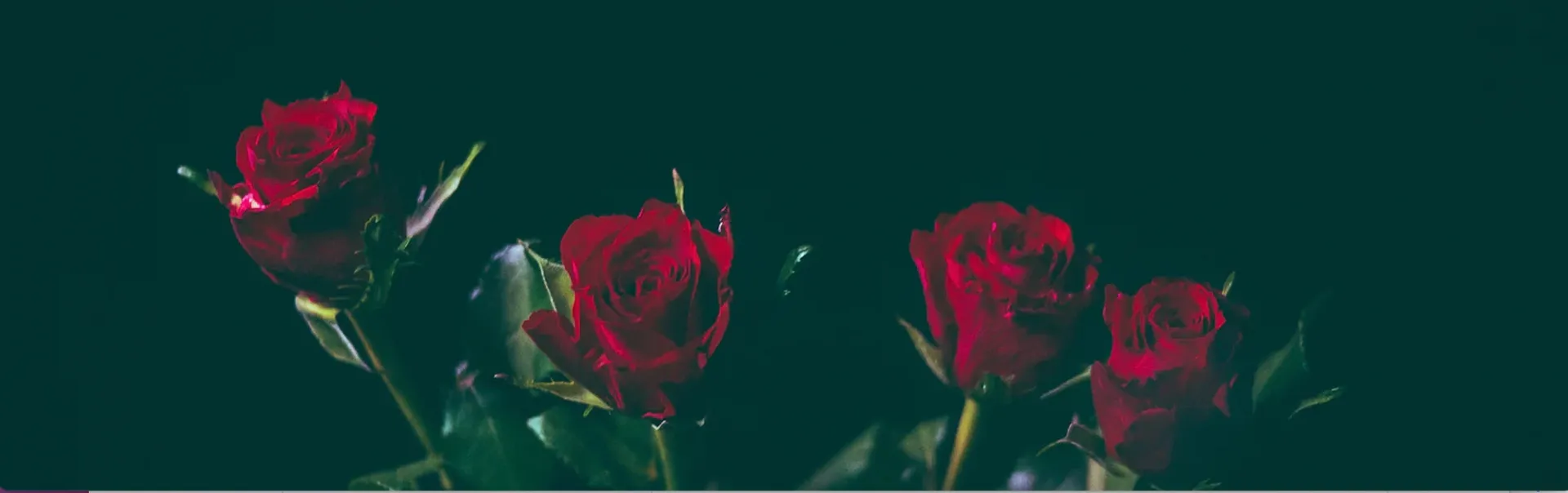 Big Bootie Judy 🍑 OnlyFans header