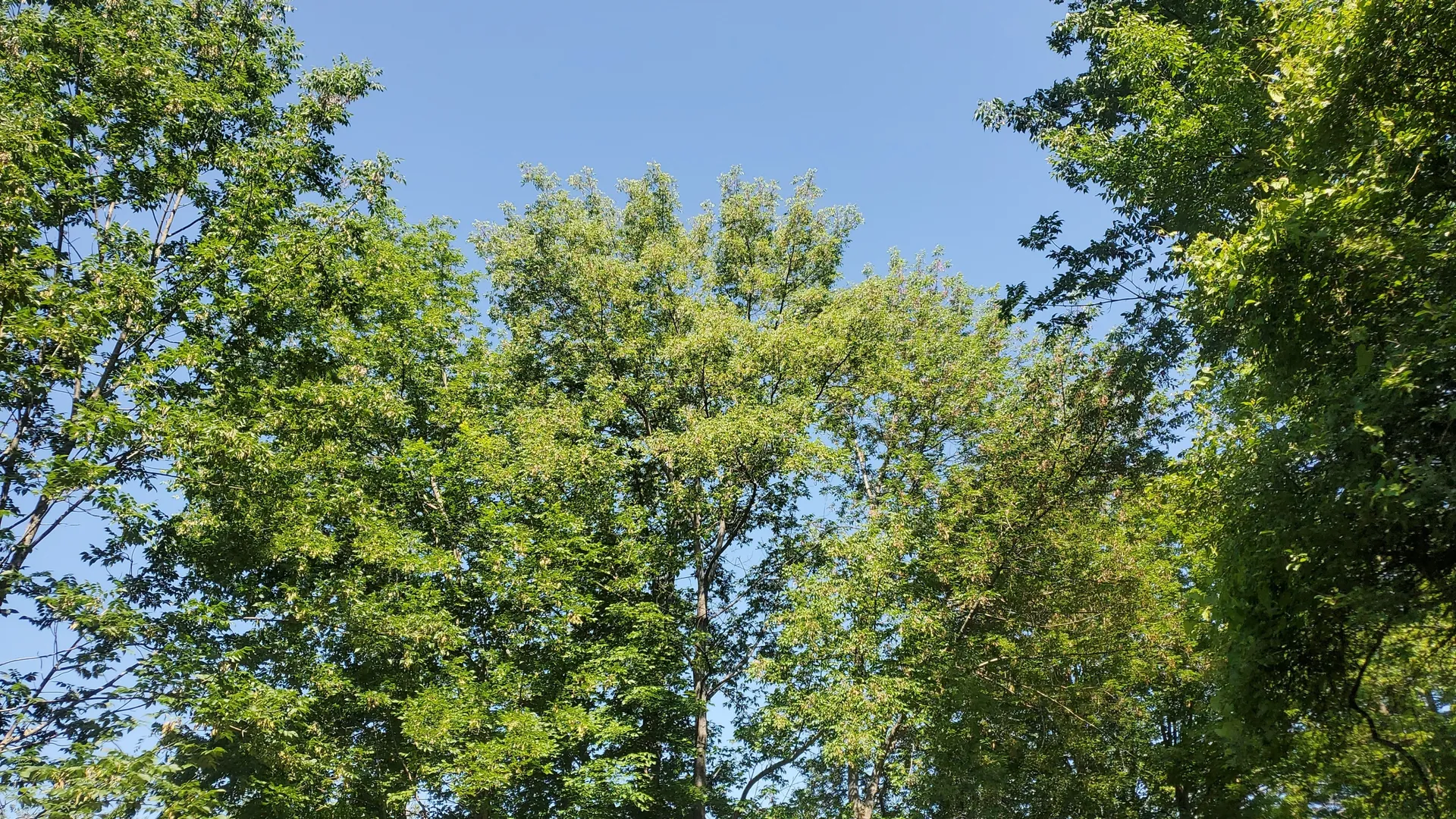 Bigbootybabe OnlyFans header