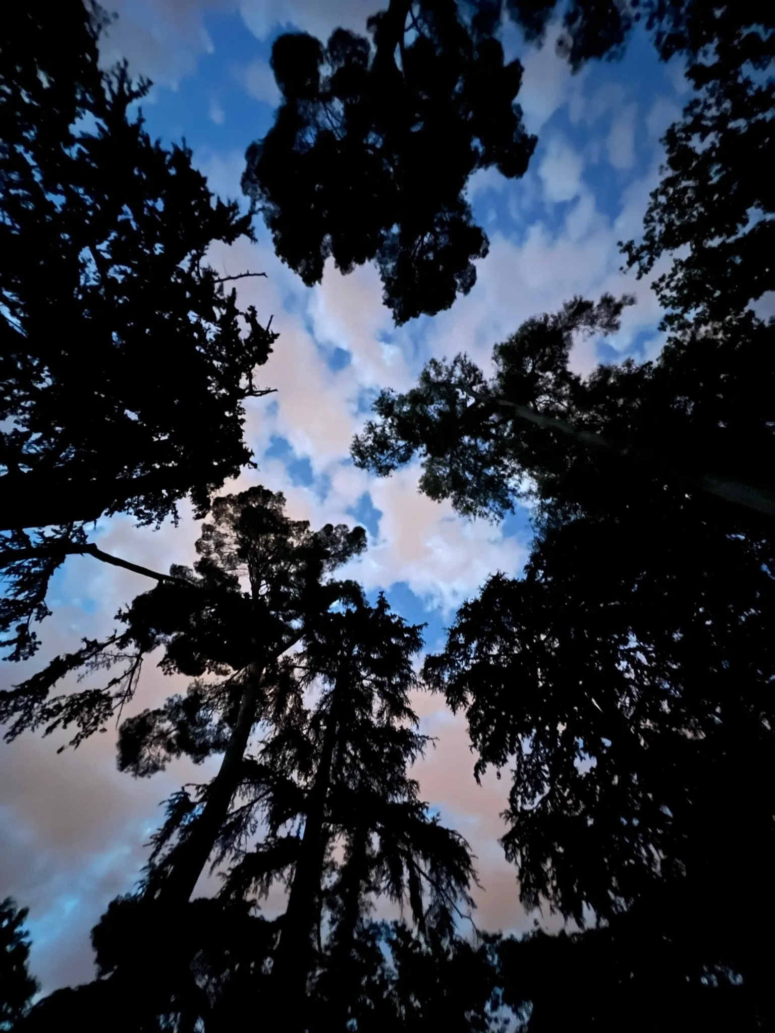 Baby B OnlyFans header