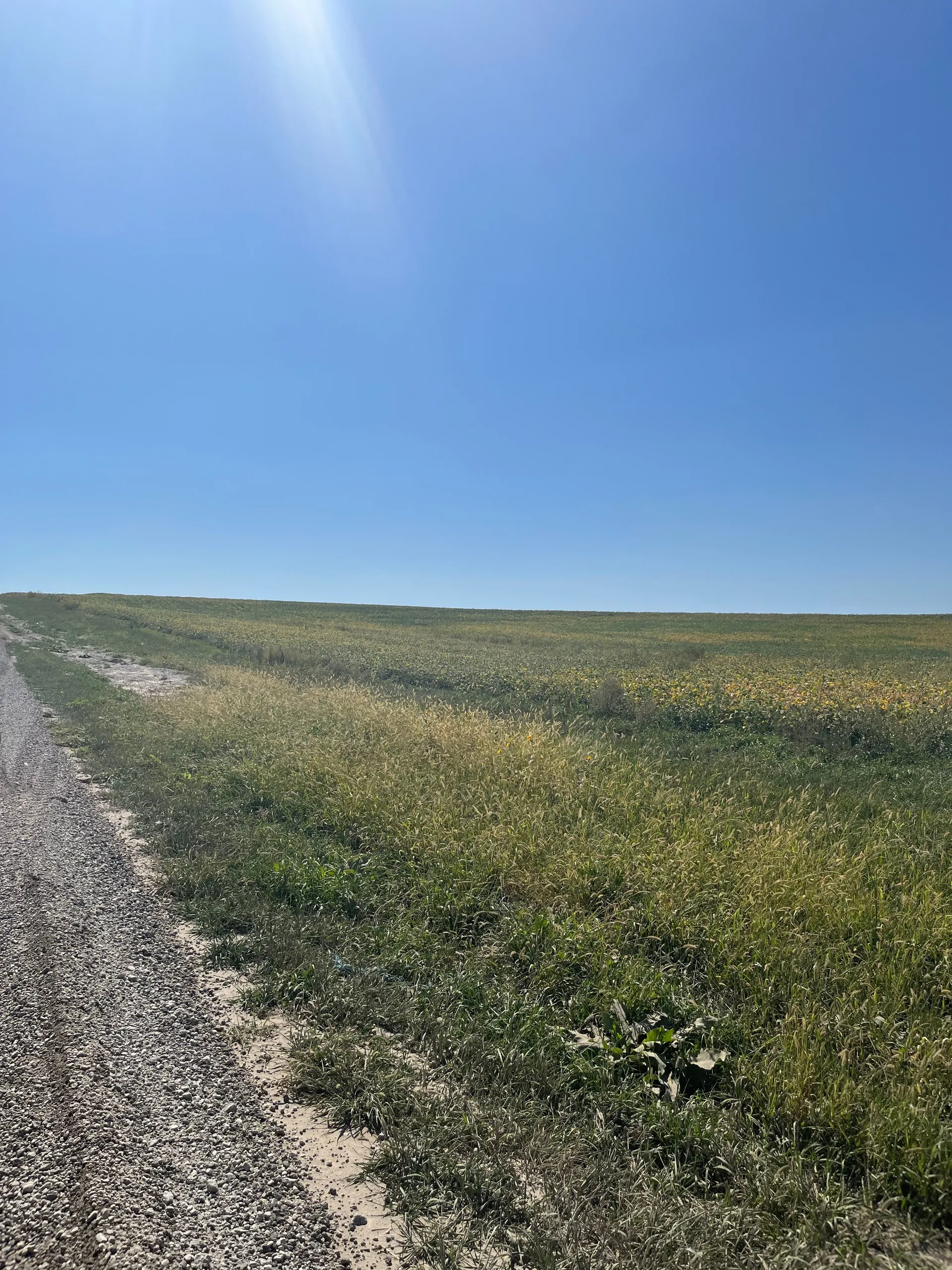 big booty bitch OnlyFans header