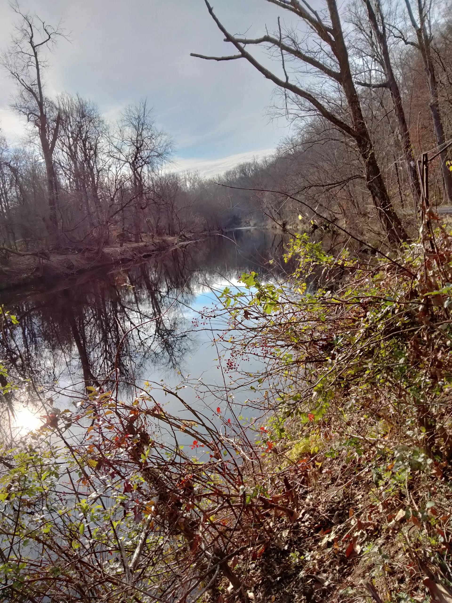 Trixie OnlyFans header