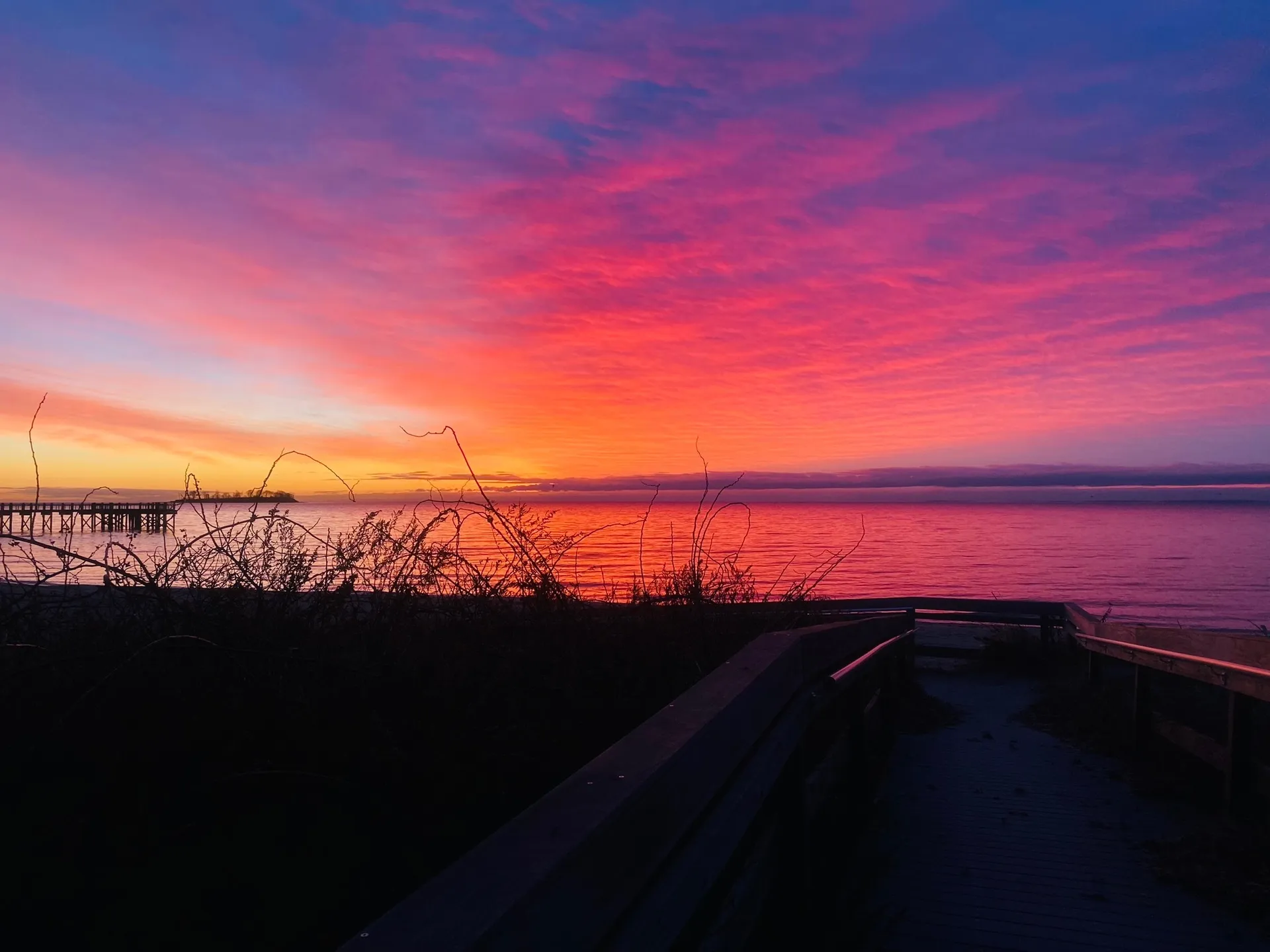 Bigbootyblondie OnlyFans header