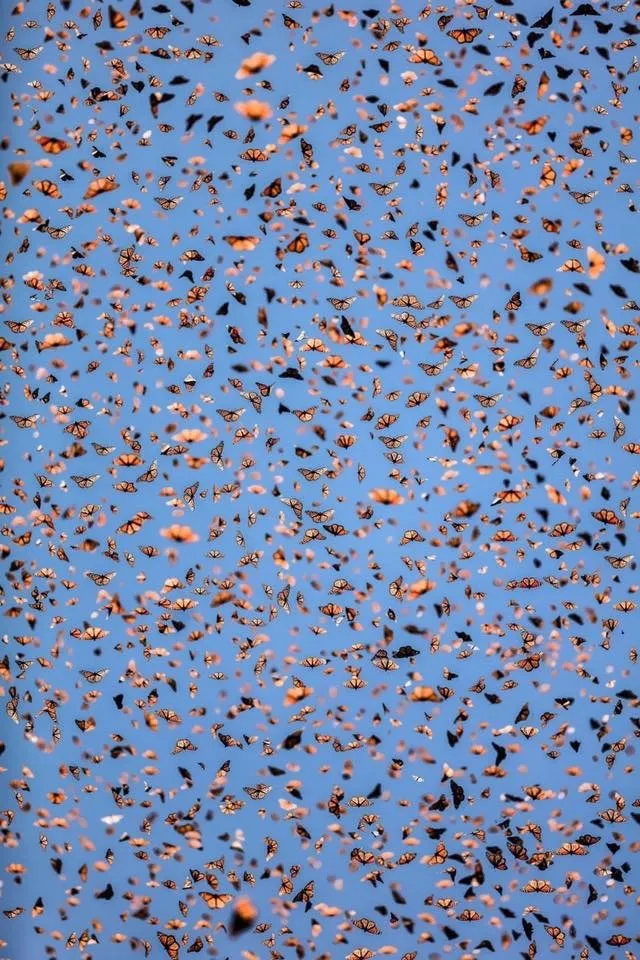 BigBootyGemini OnlyFans header