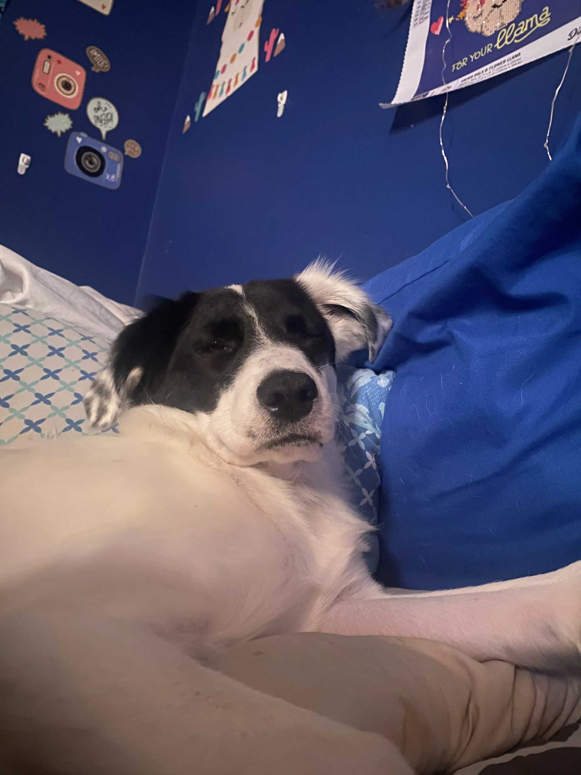 Elyssa OnlyFans header