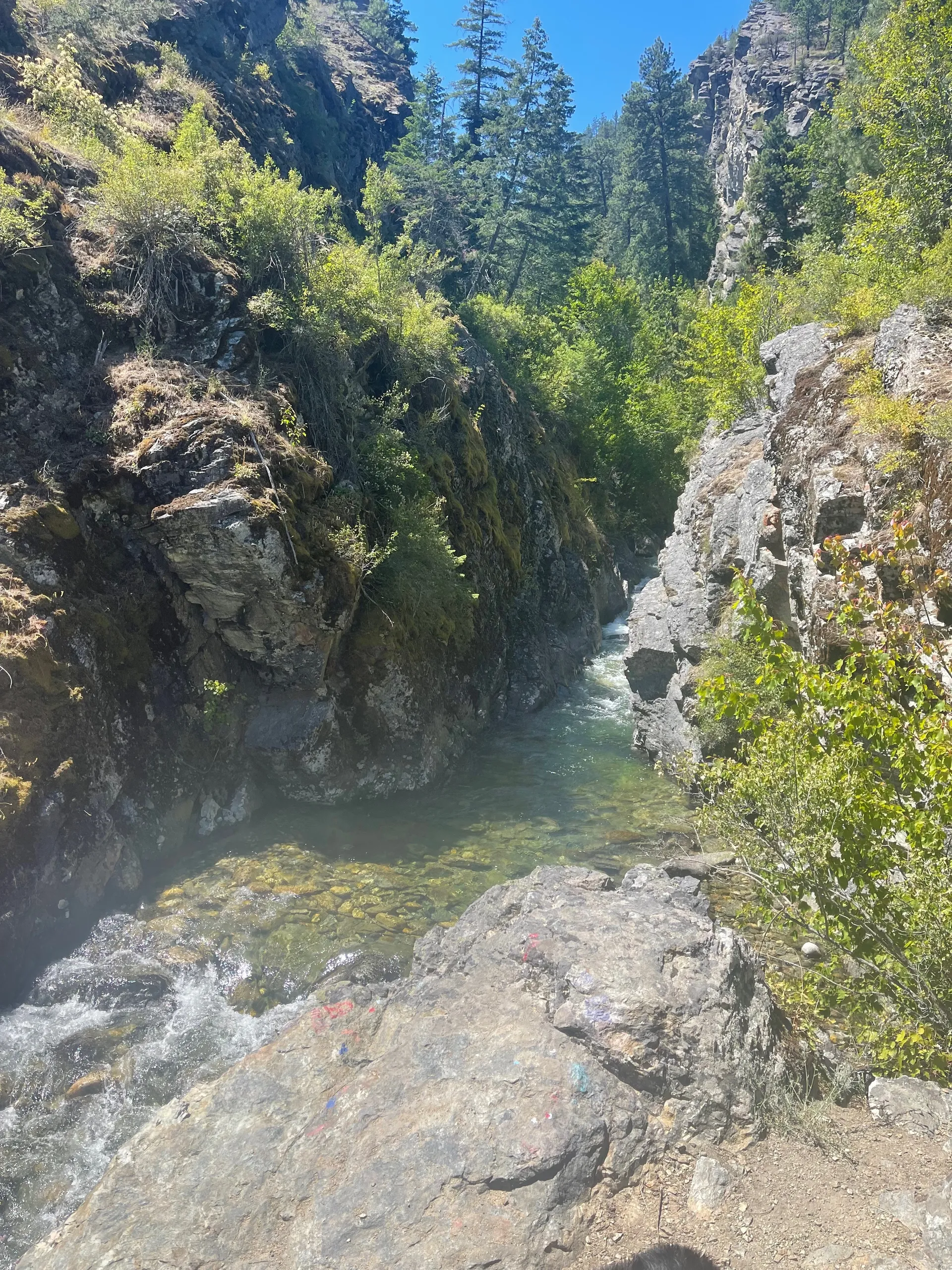 Aspen Rein OnlyFans header