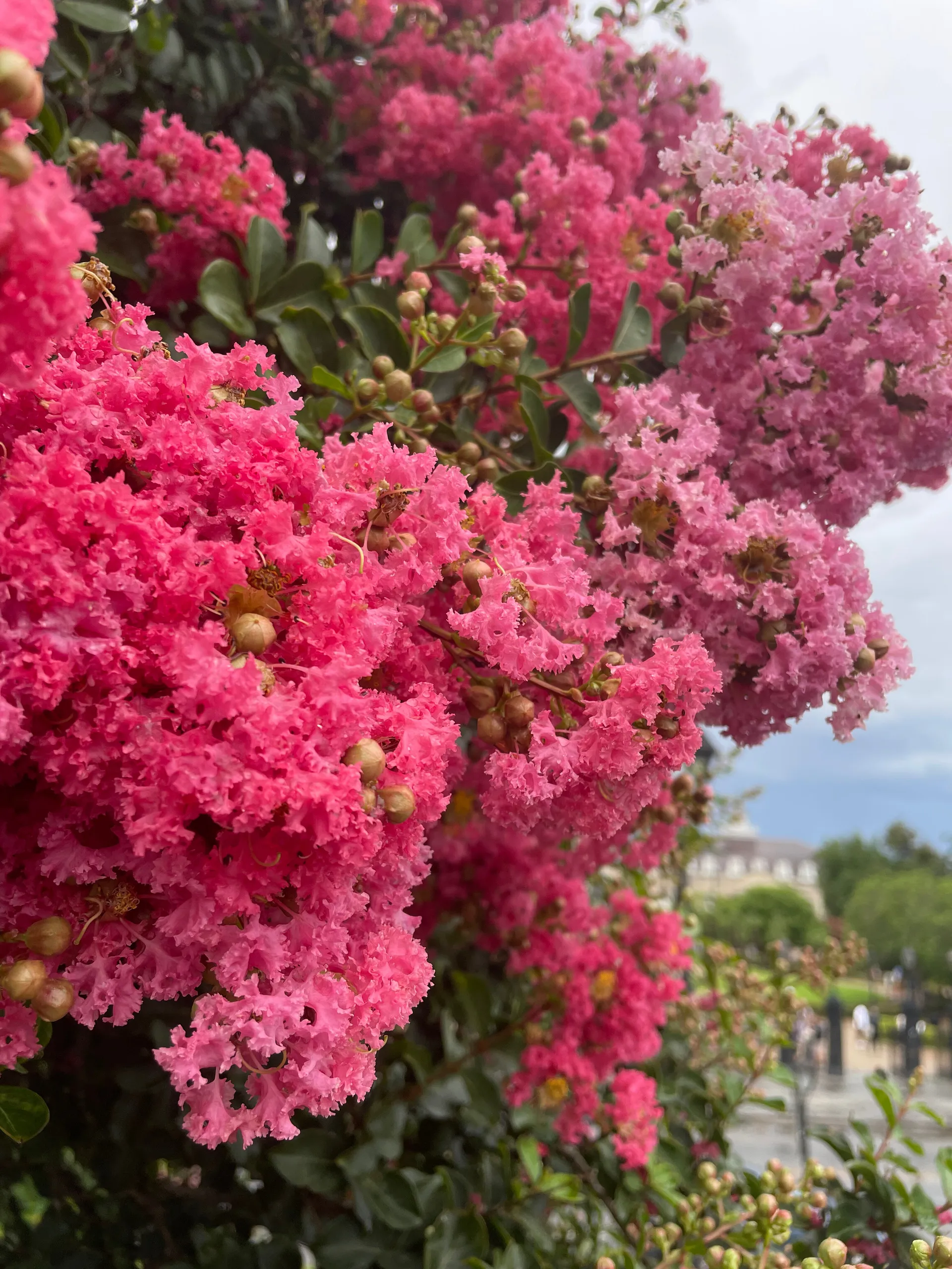 Big Booty Therapy OnlyFans header