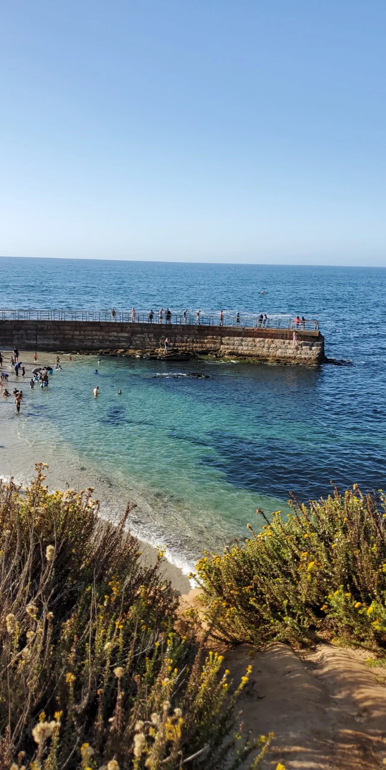 Lizbeth Carson OnlyFans header