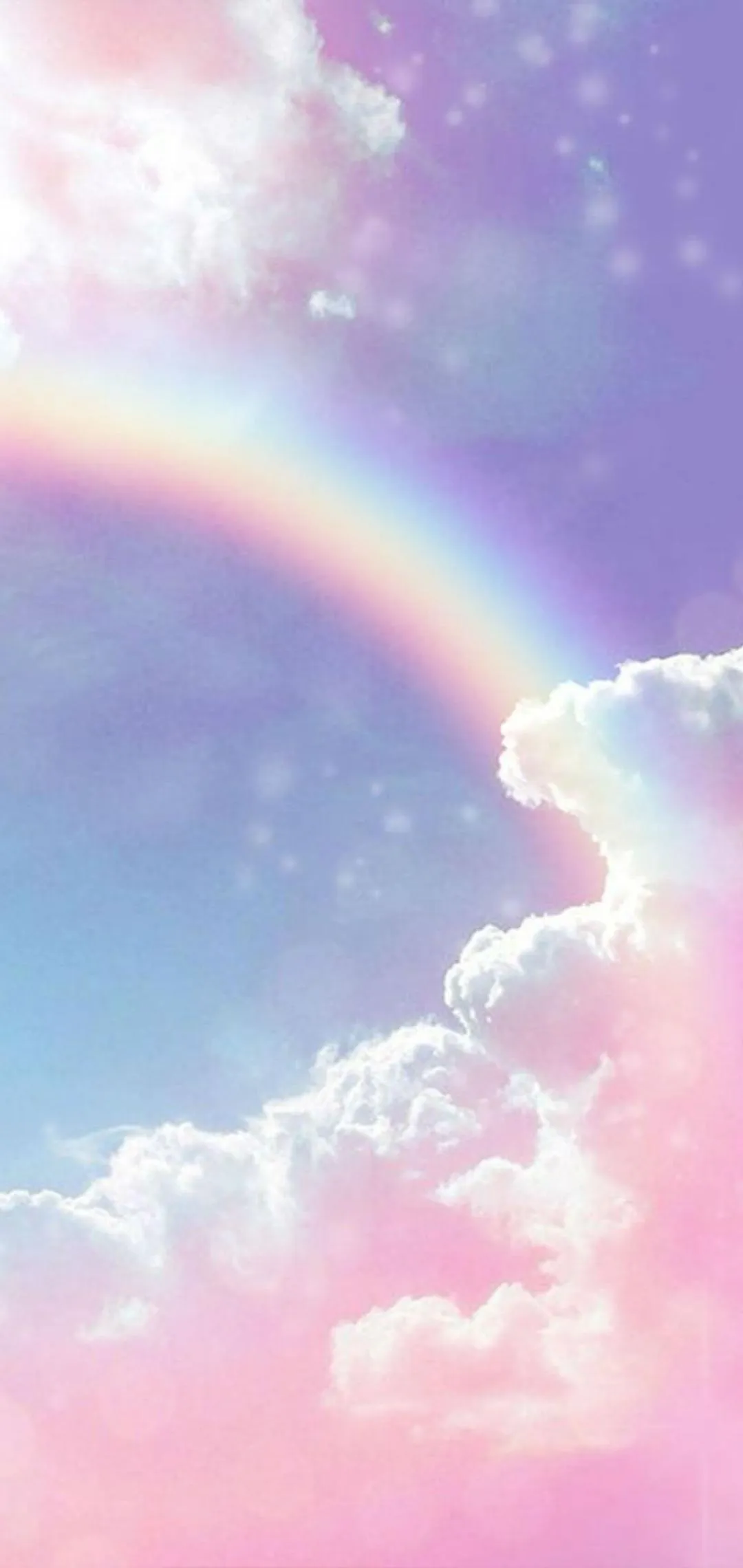 Willow OnlyFans header