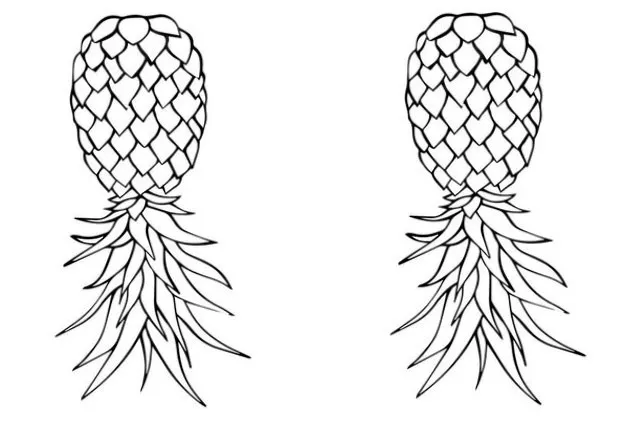 Big Boy Entertainment OnlyFans header