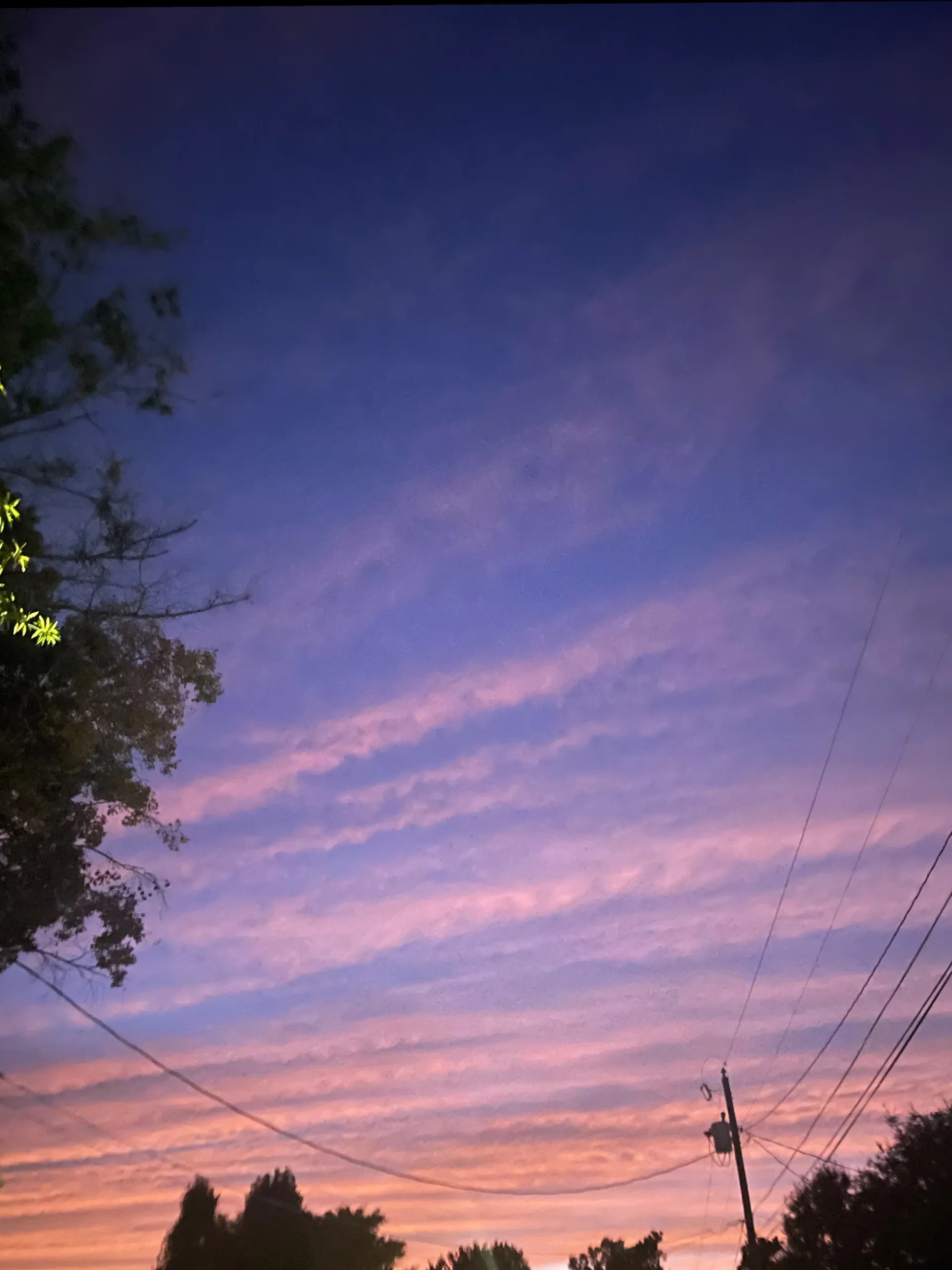 10inch tae 😈 OnlyFans header