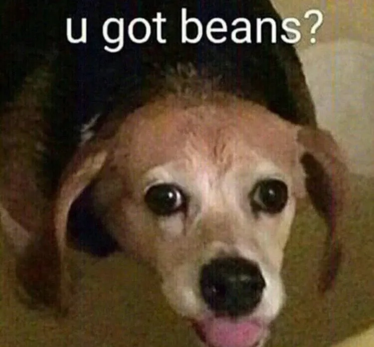 Bigger is better OnlyFans header