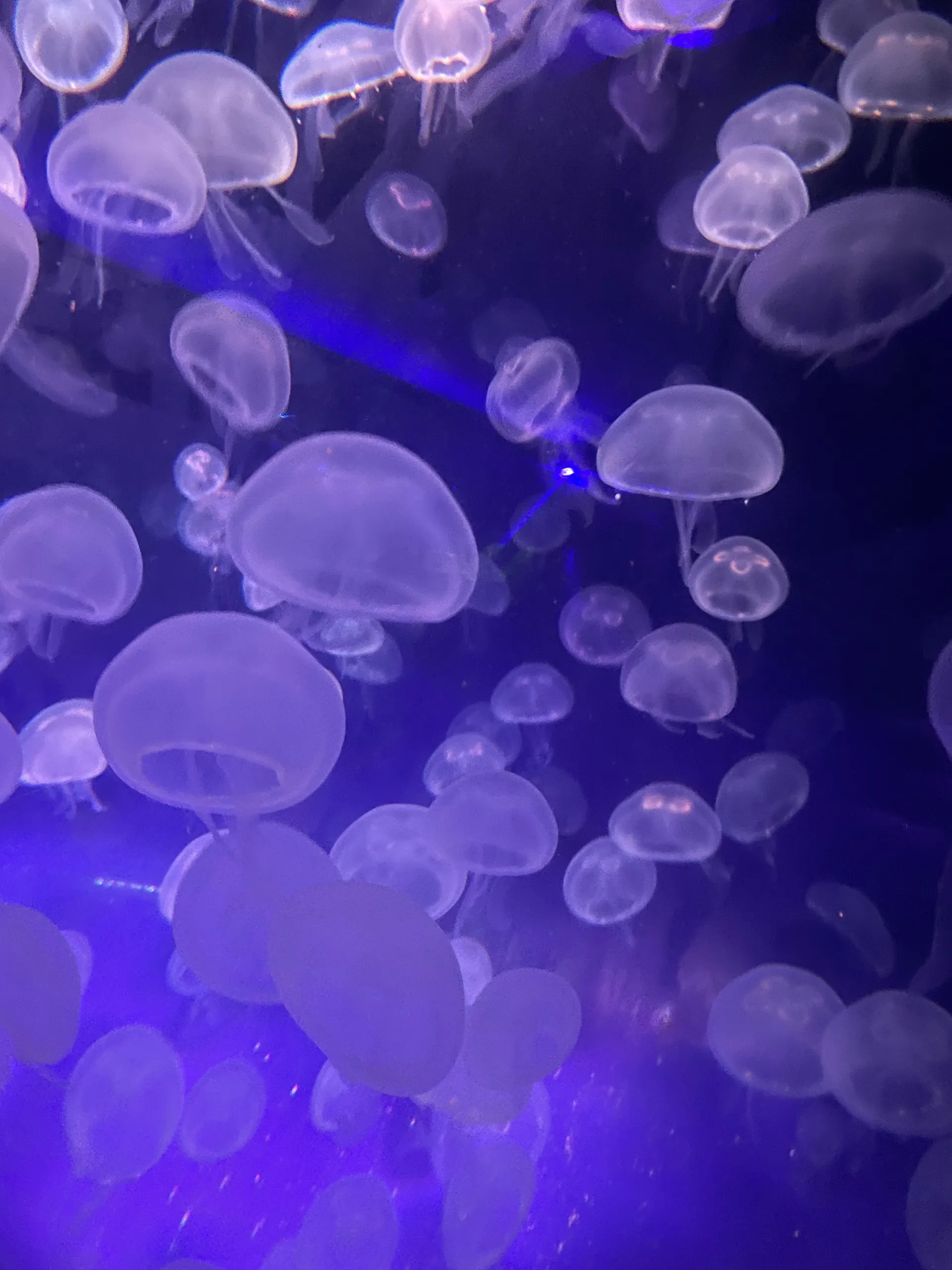 Big booty bre OnlyFans header