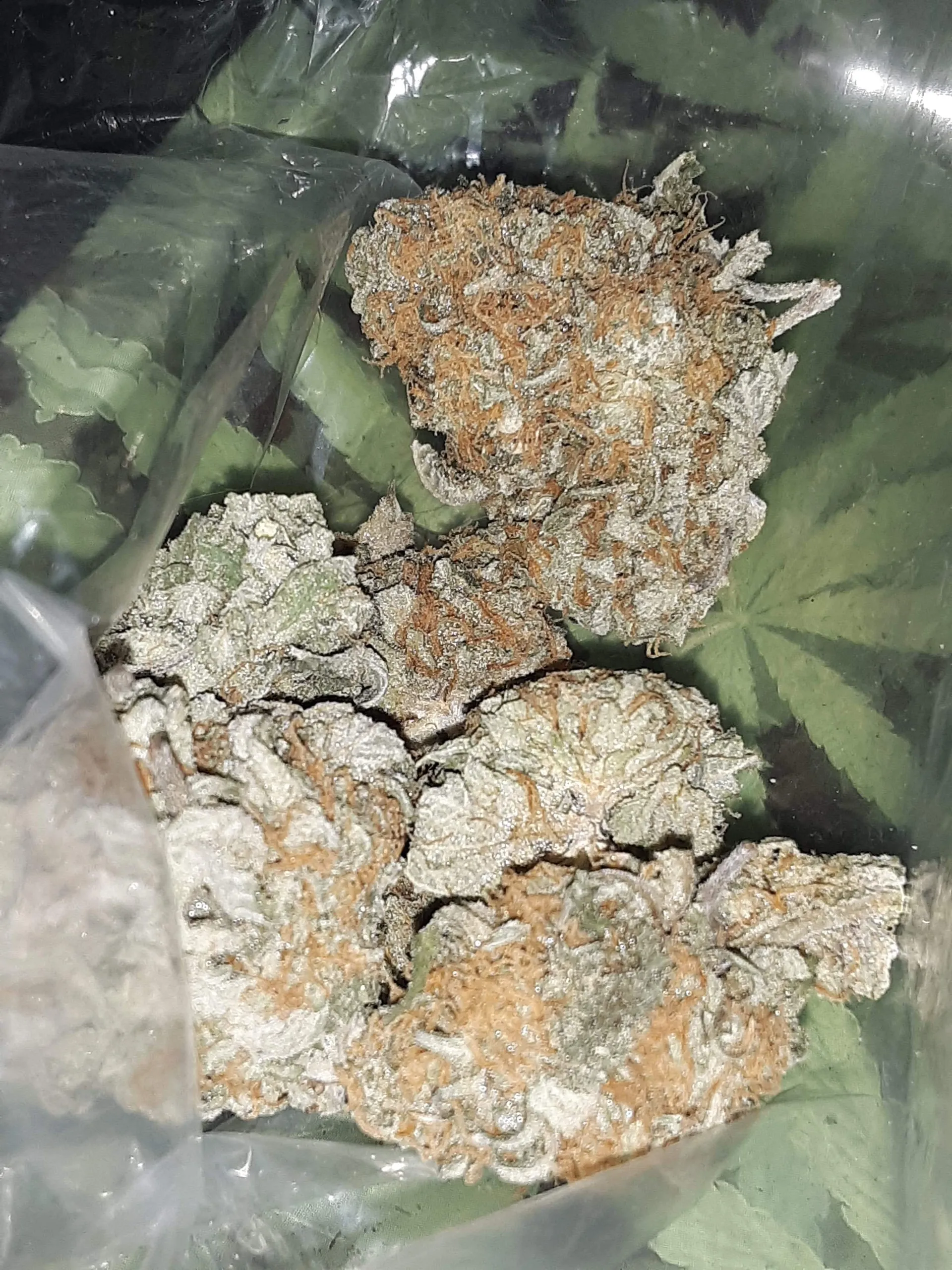 Brian OnlyFans header