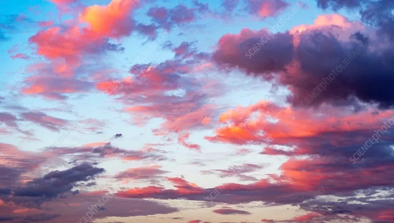 Buttercup OnlyFans header