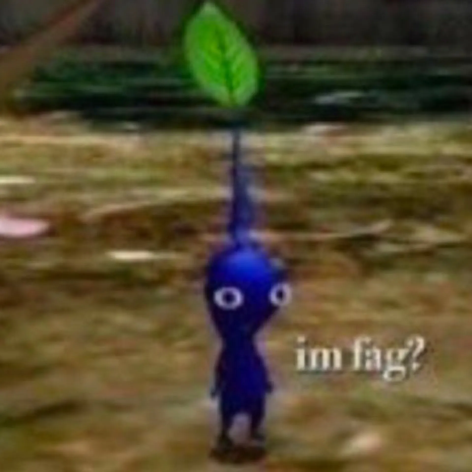 bigbutttop OnlyFans header