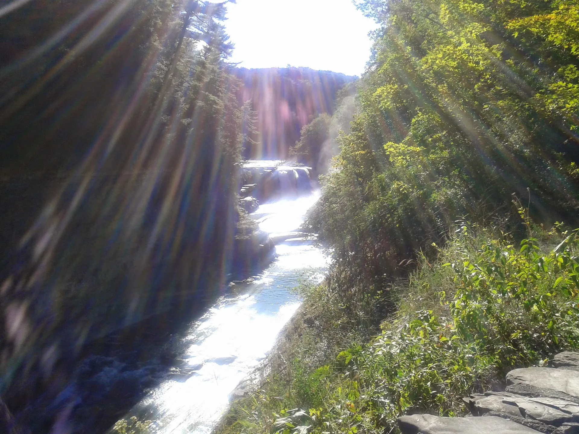 Big b'z OnlyFans header