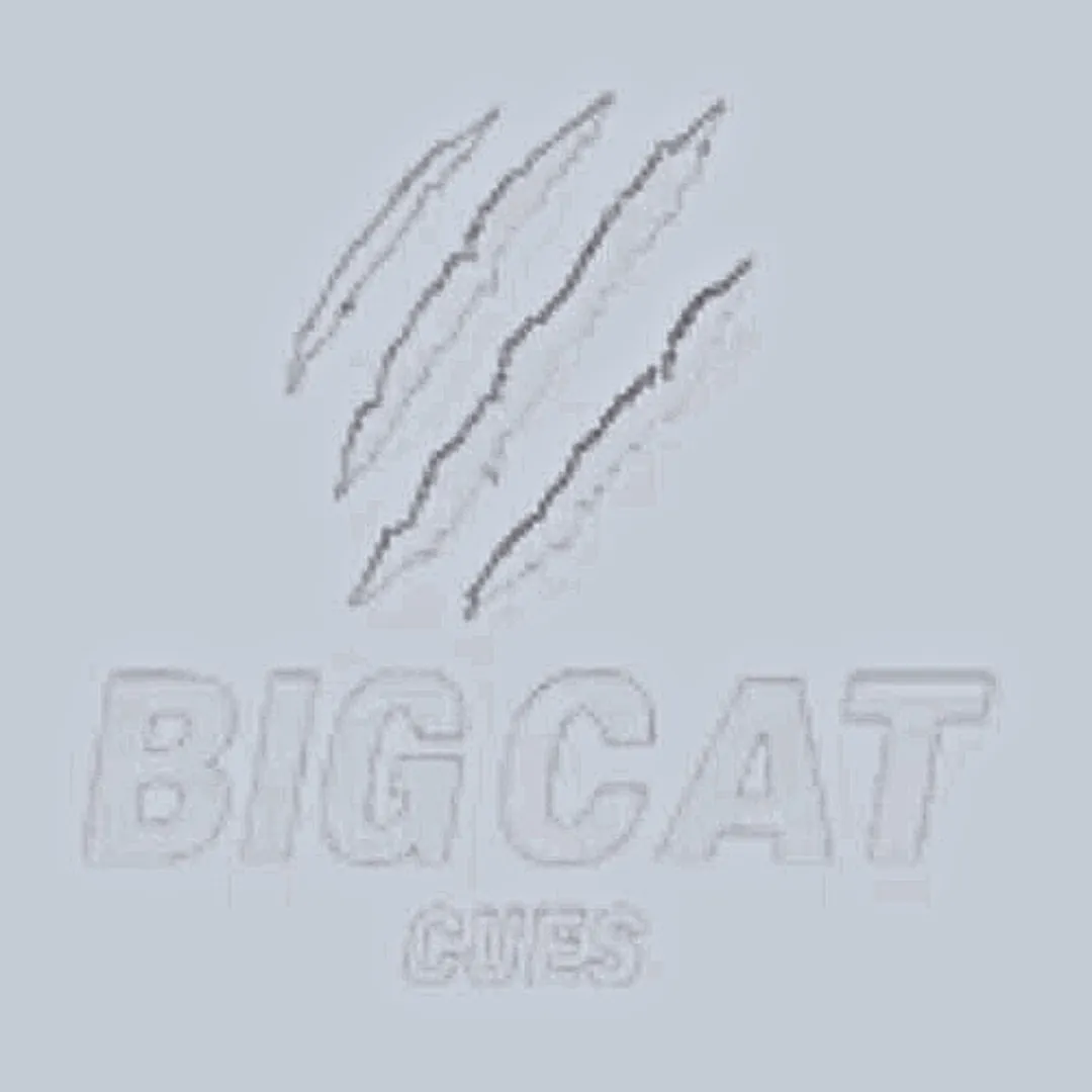 bigcatcues