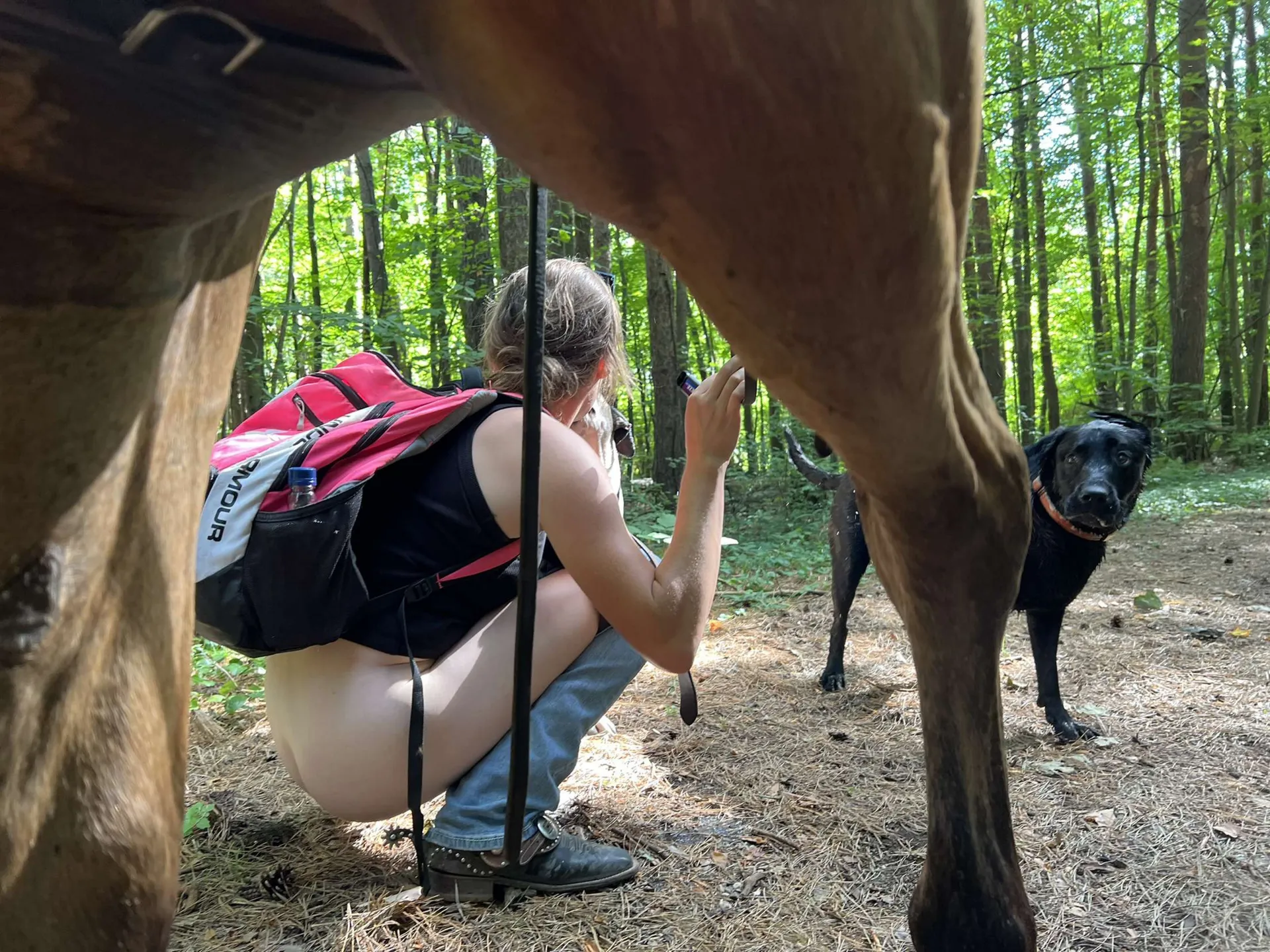 Big c OnlyFans header