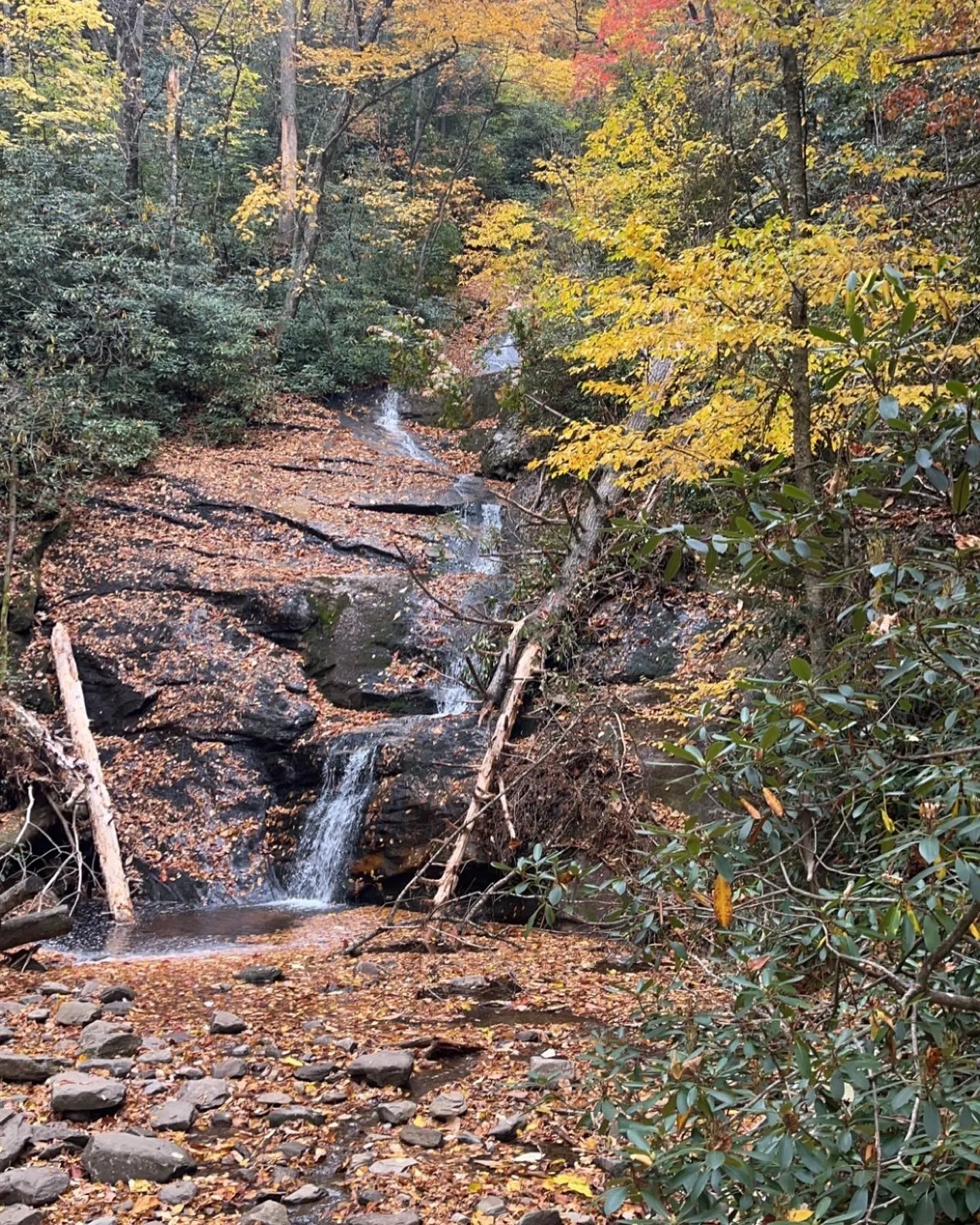 Big Cheese OnlyFans header