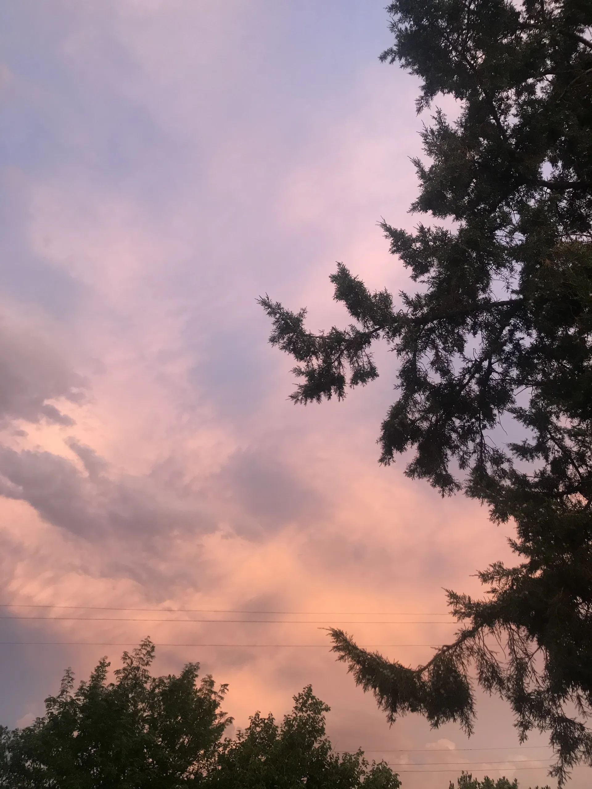 Chocolate Thunder OnlyFans header