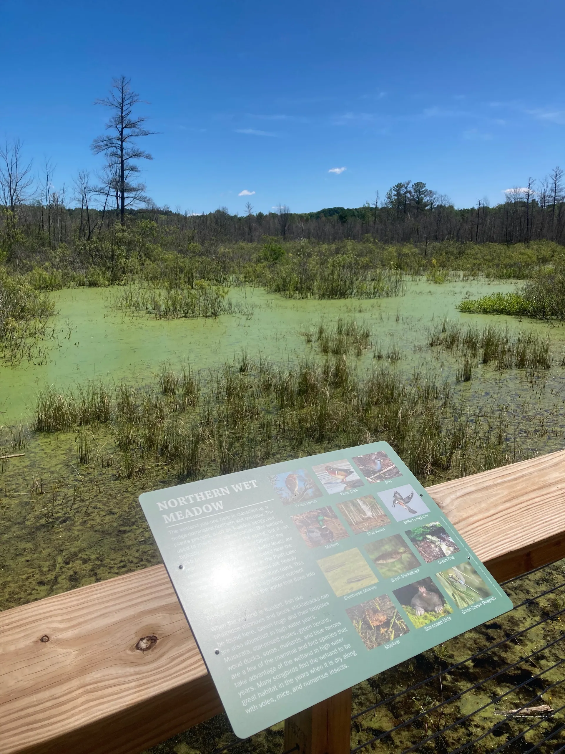 Chris OnlyFans header