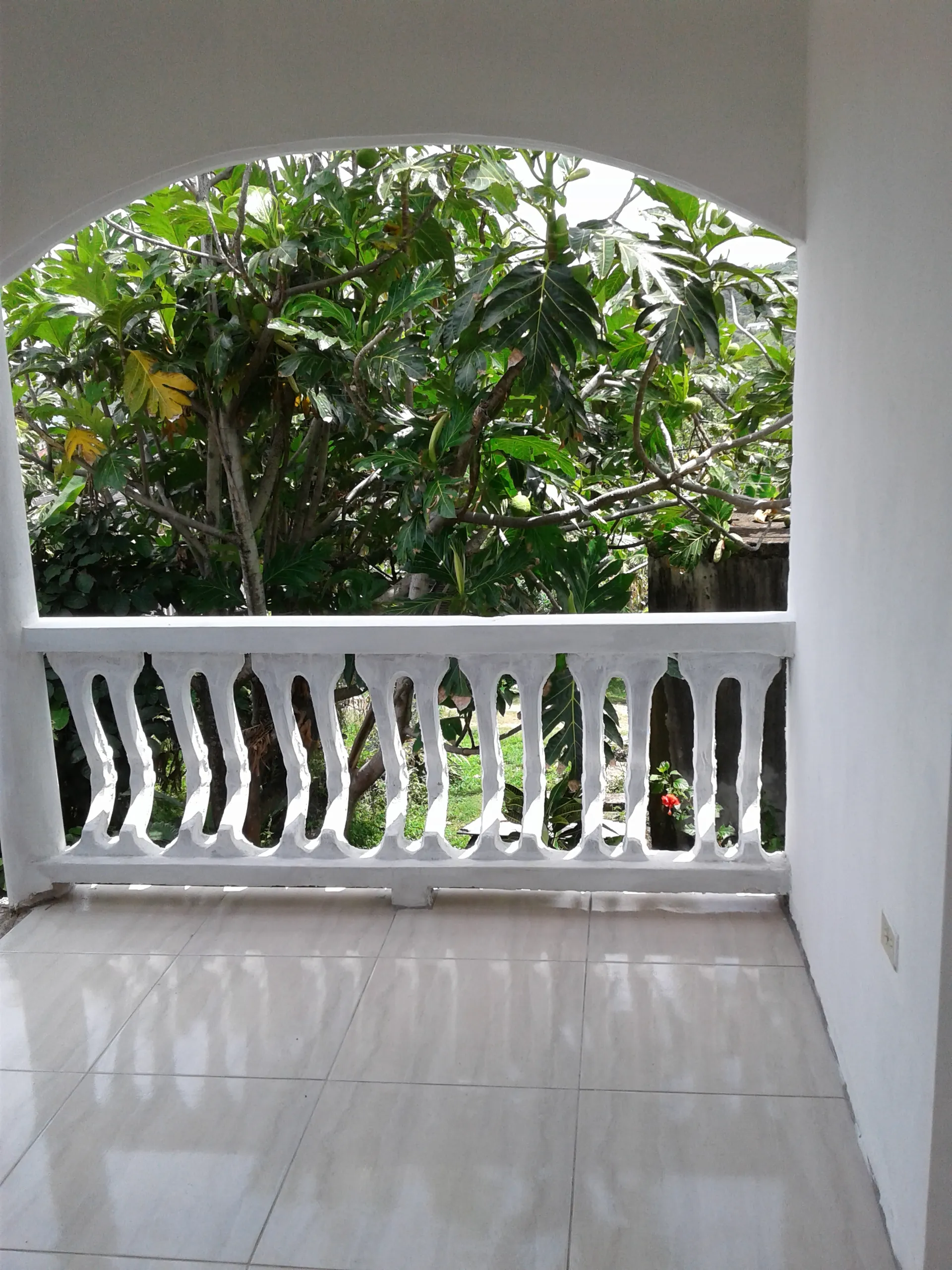 Bi 🇯🇲 Jamaican OnlyFans header