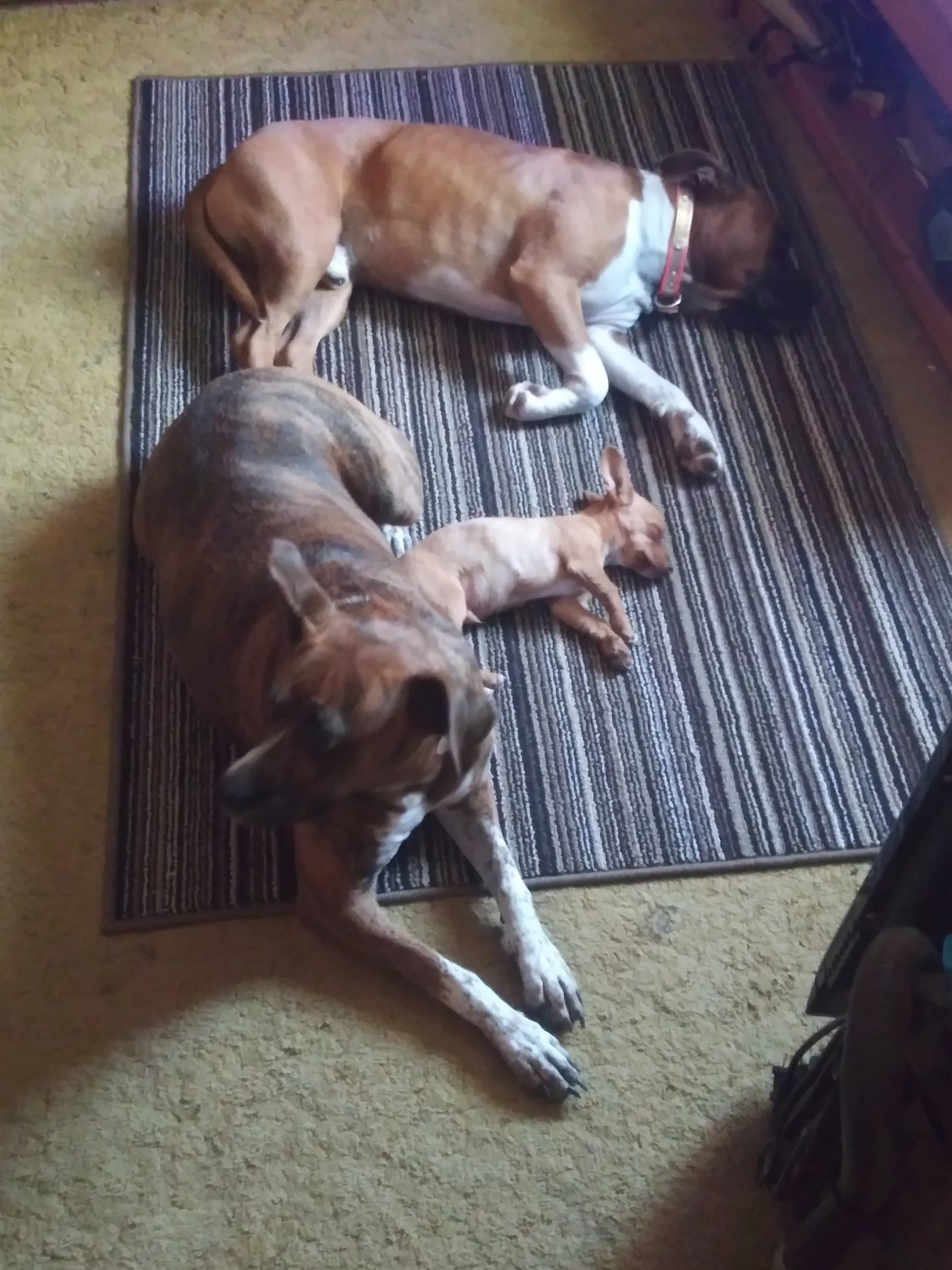 Kenneth Roberts OnlyFans header