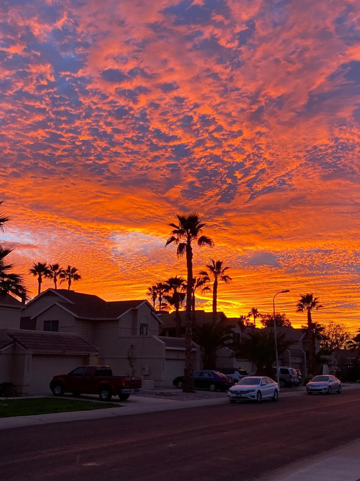 LONG stroke XXX OnlyFans header