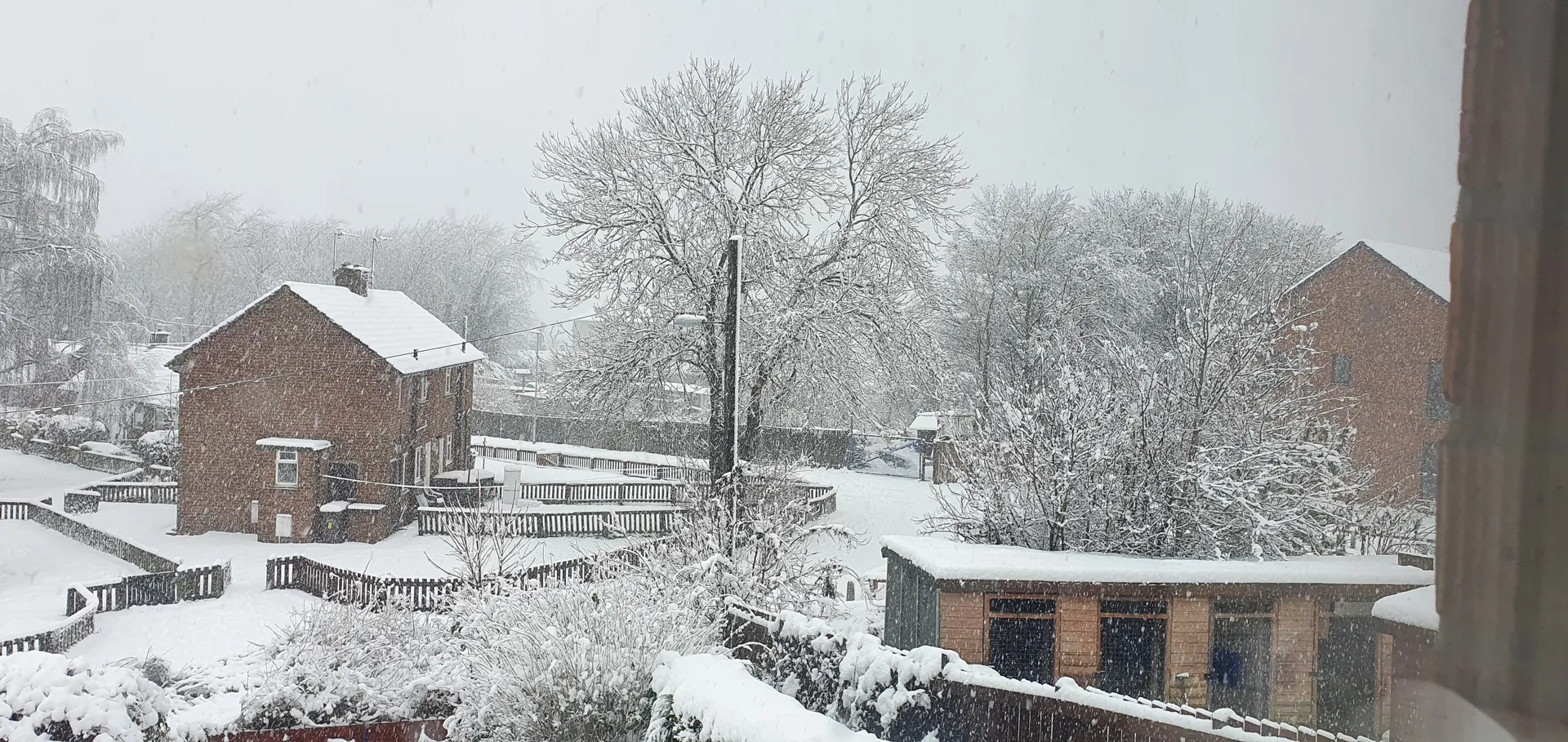 Minimoose OnlyFans header