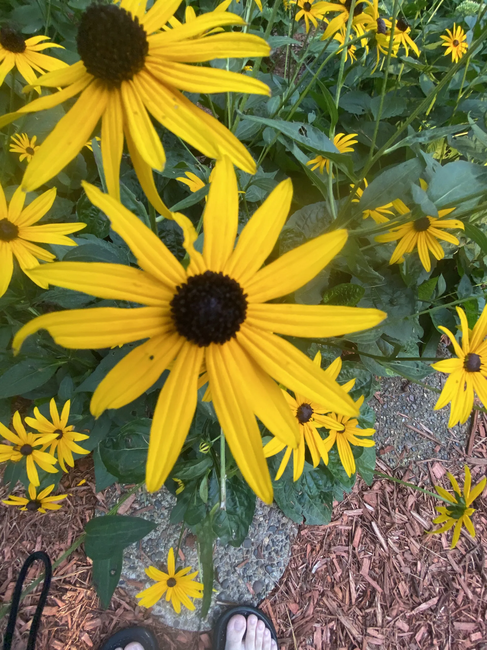 Matthew OnlyFans header