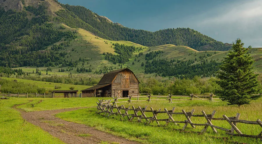 Big Daddy Country OnlyFans header