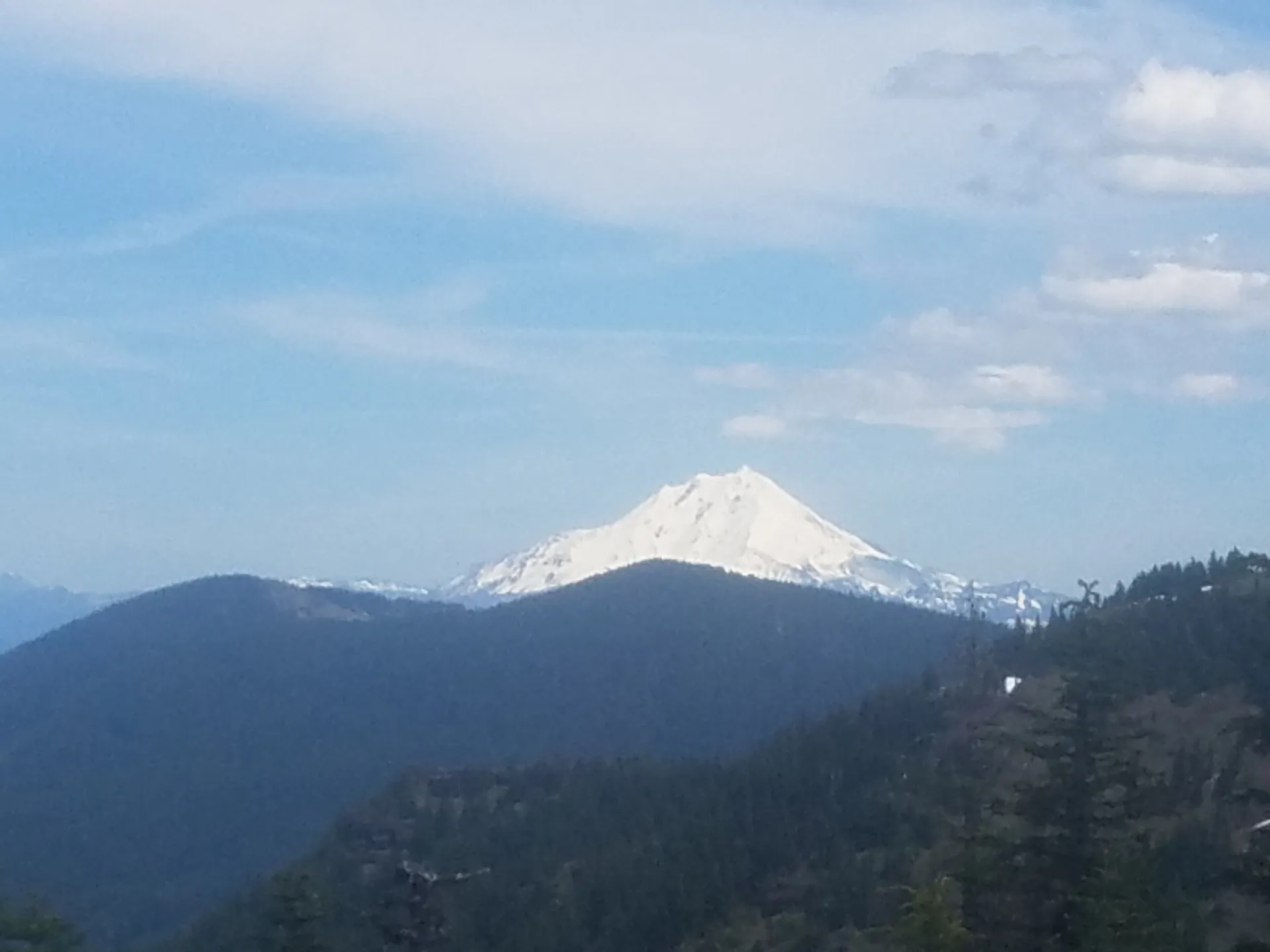 Brandon OnlyFans header