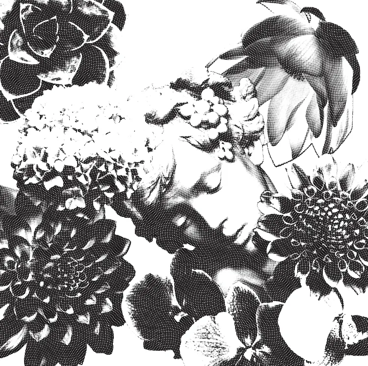 BigDaddyLongLegs OnlyFans header