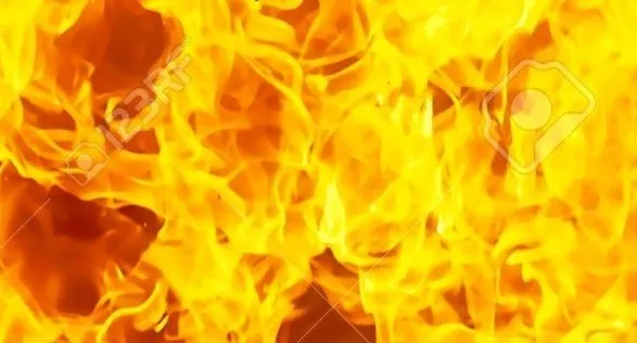 Maynard's Bisexual Threesome Adventuresi OnlyFans header