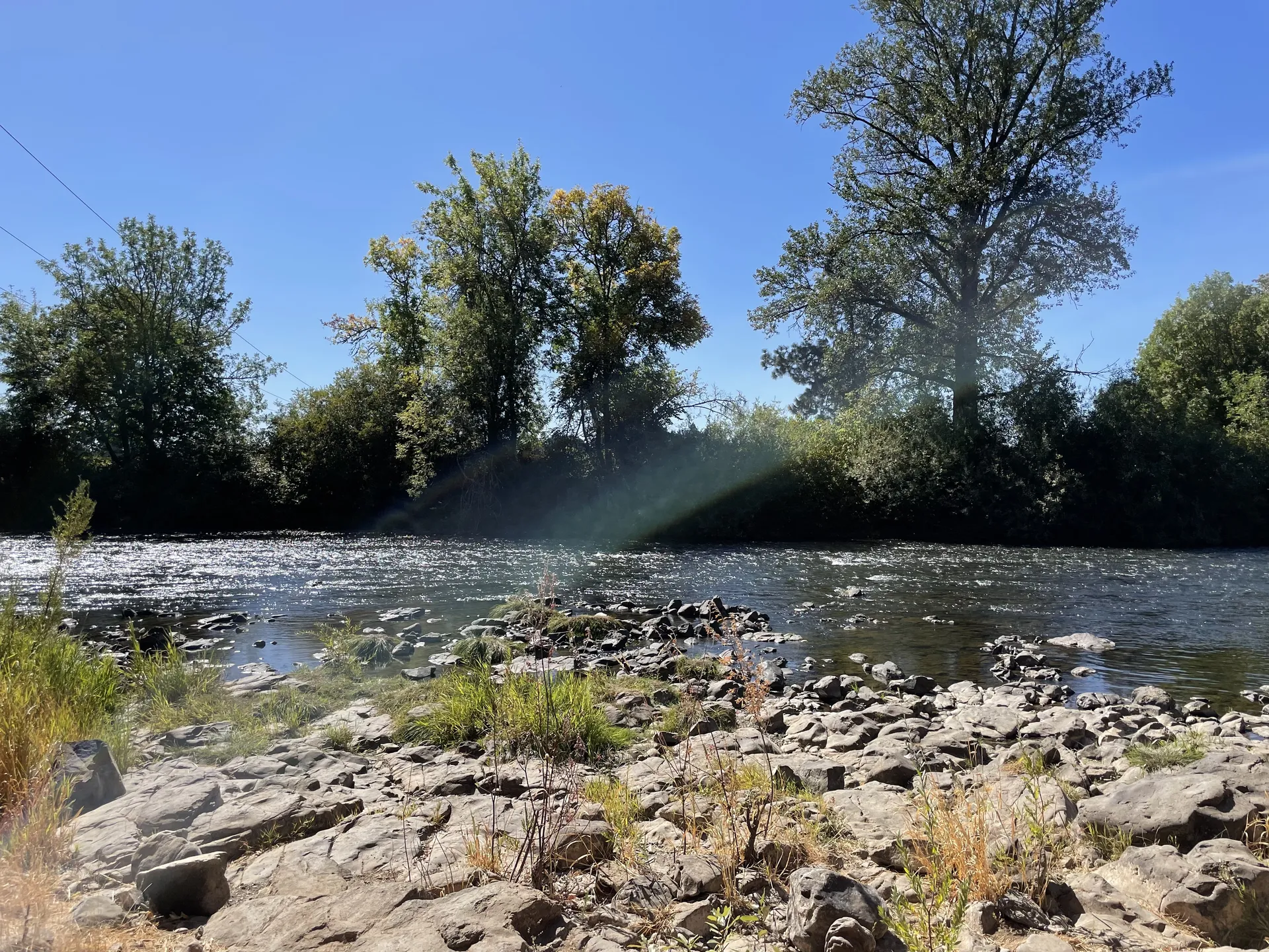 BigDaddyTurt OnlyFans header