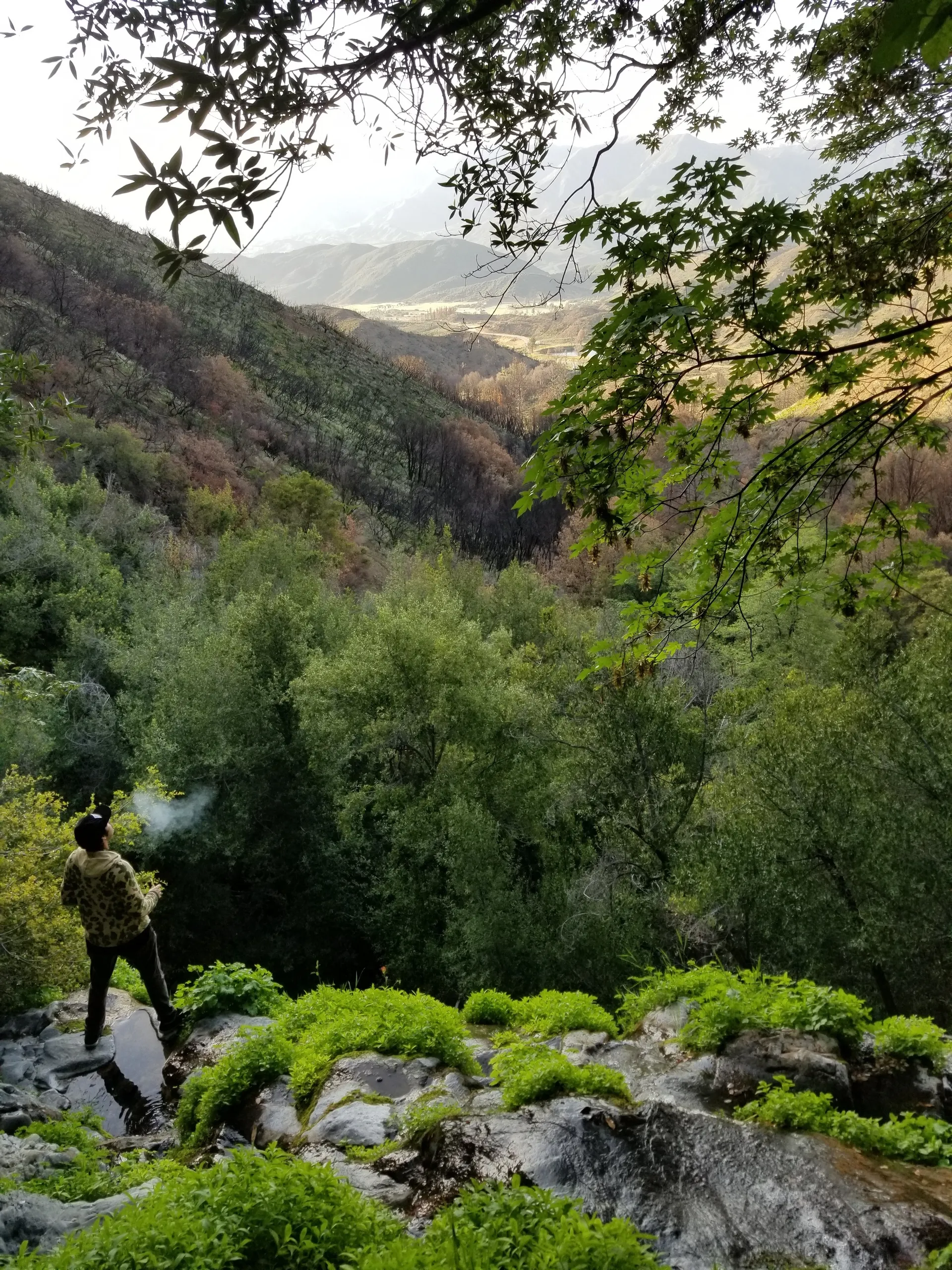 Rick OnlyFans header