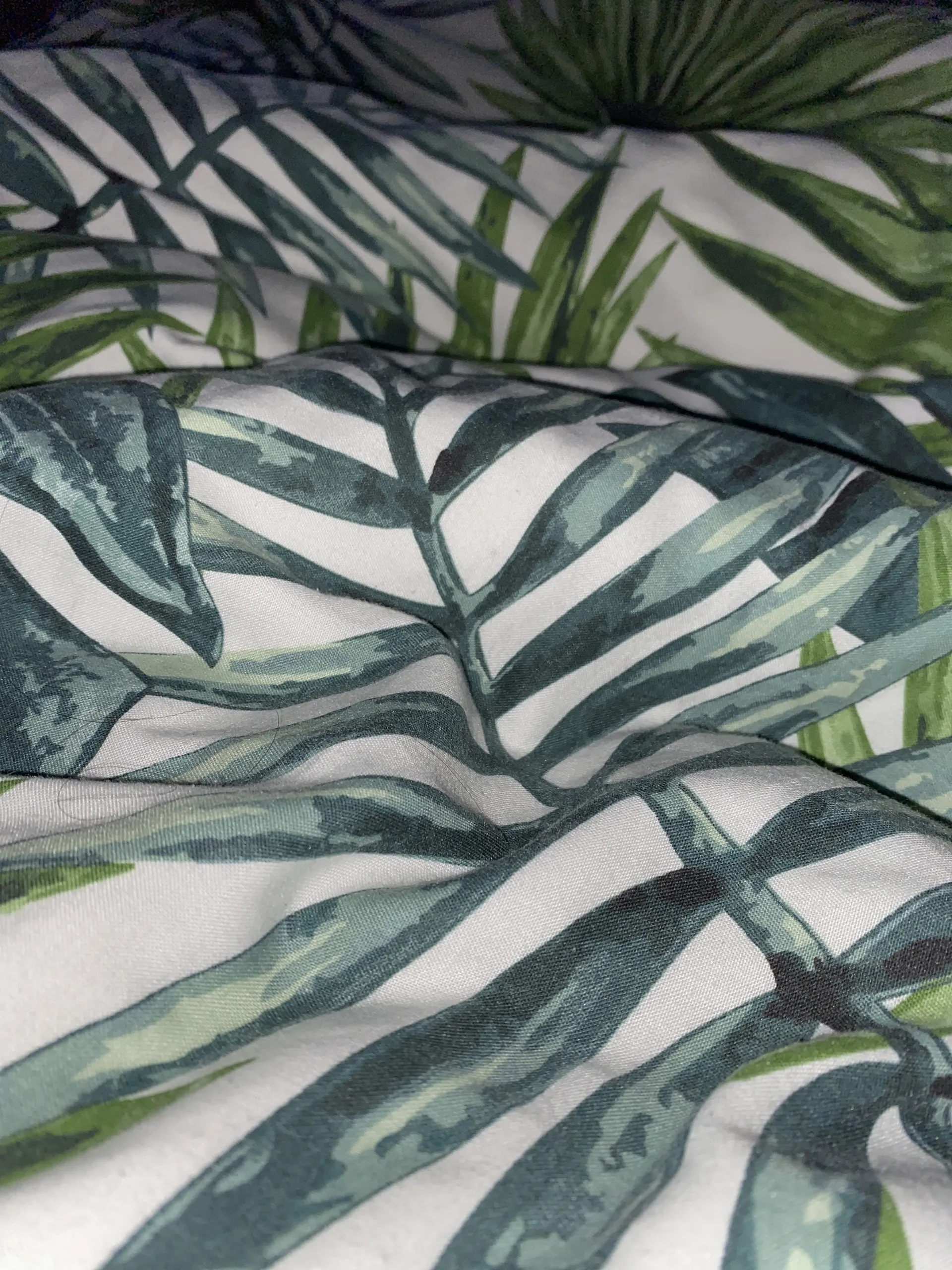 BigD Alba OnlyFans header